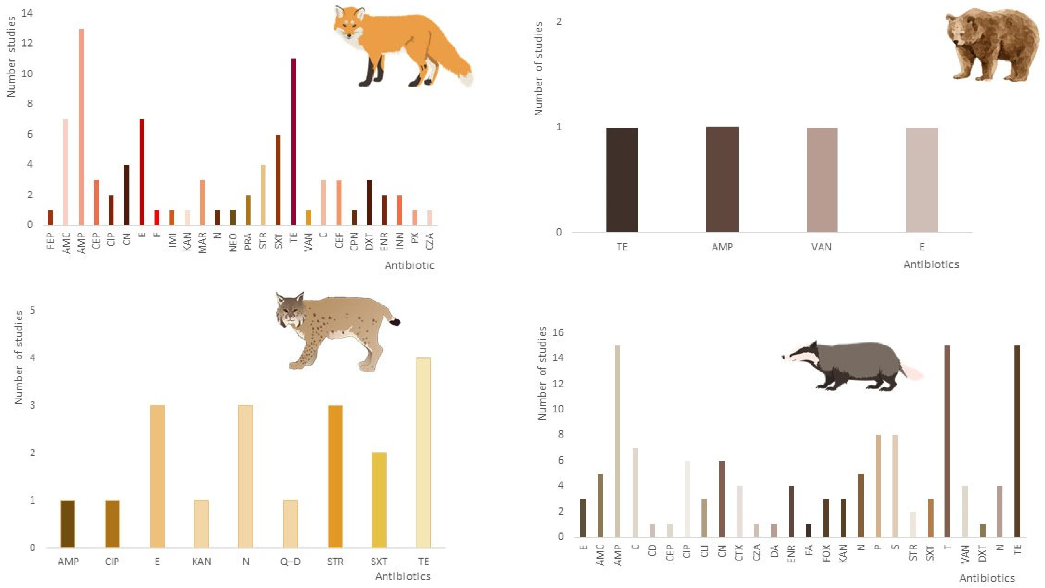 Antibiotics 12 01725 g004