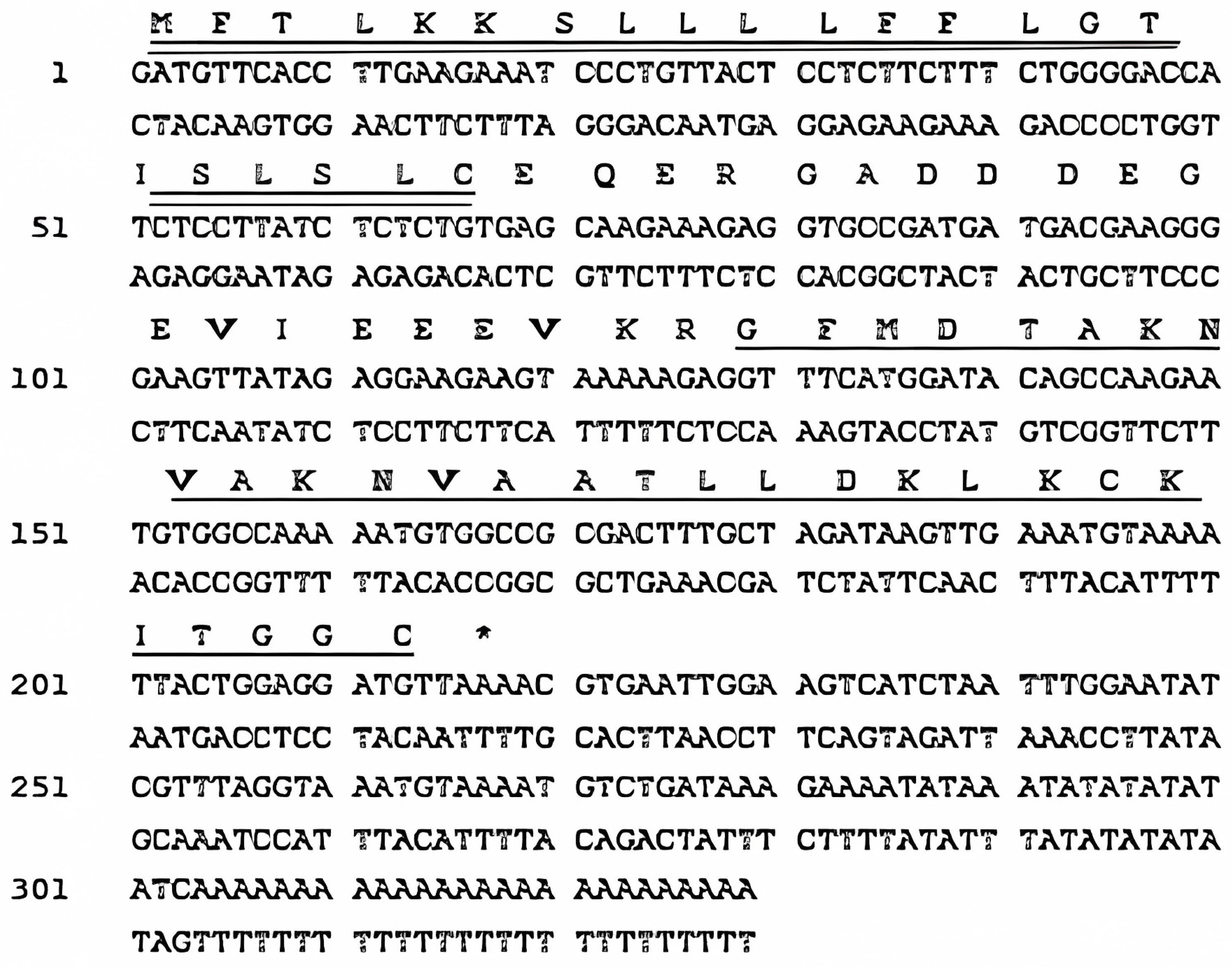 Antibiotics 13 00005 g001