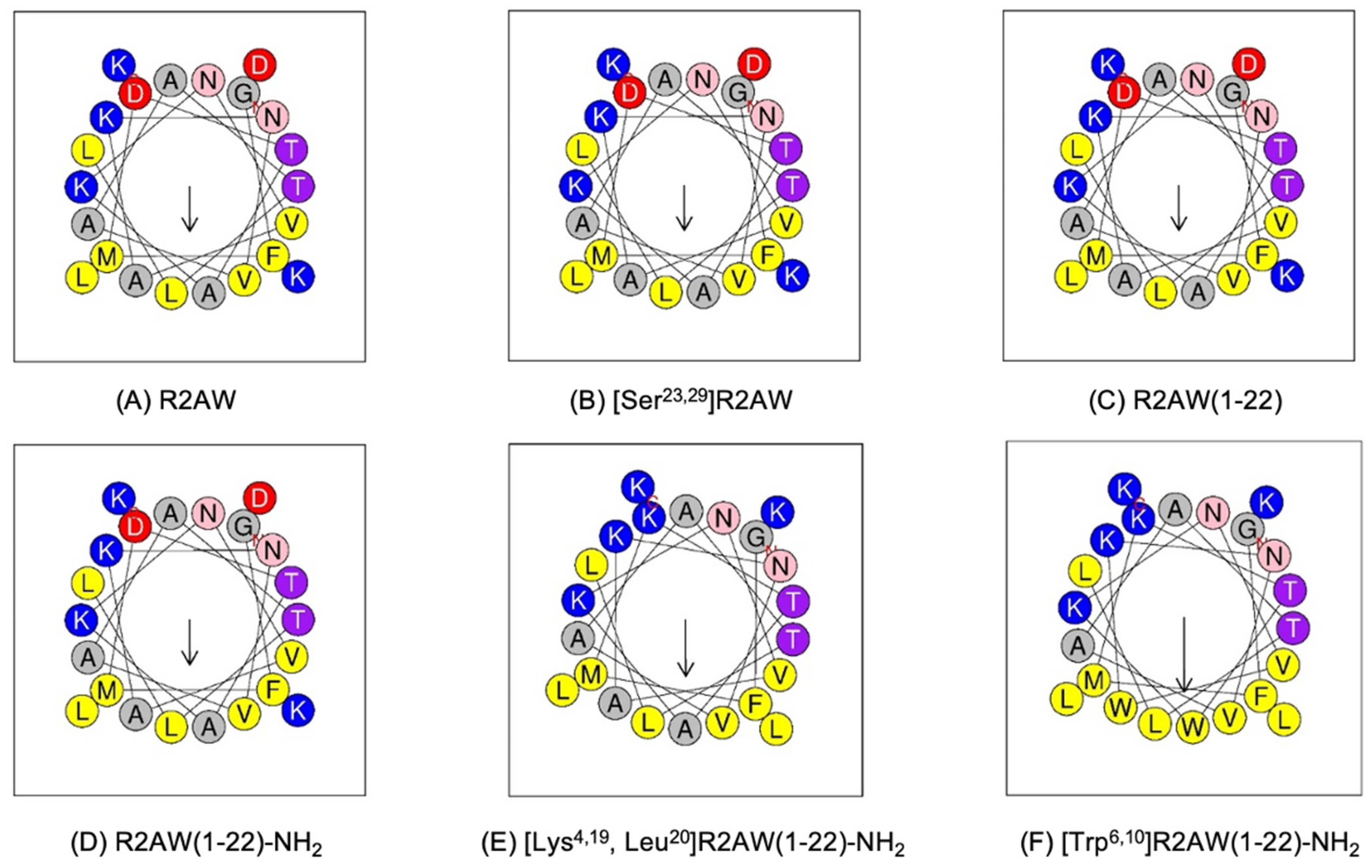 Antibiotics 13 00005 g003