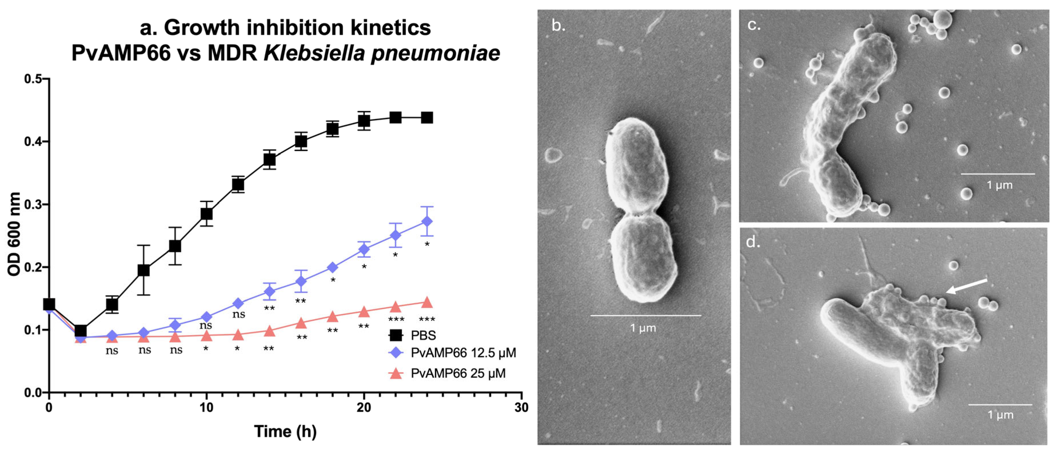 Antibiotics 13 00006 g001