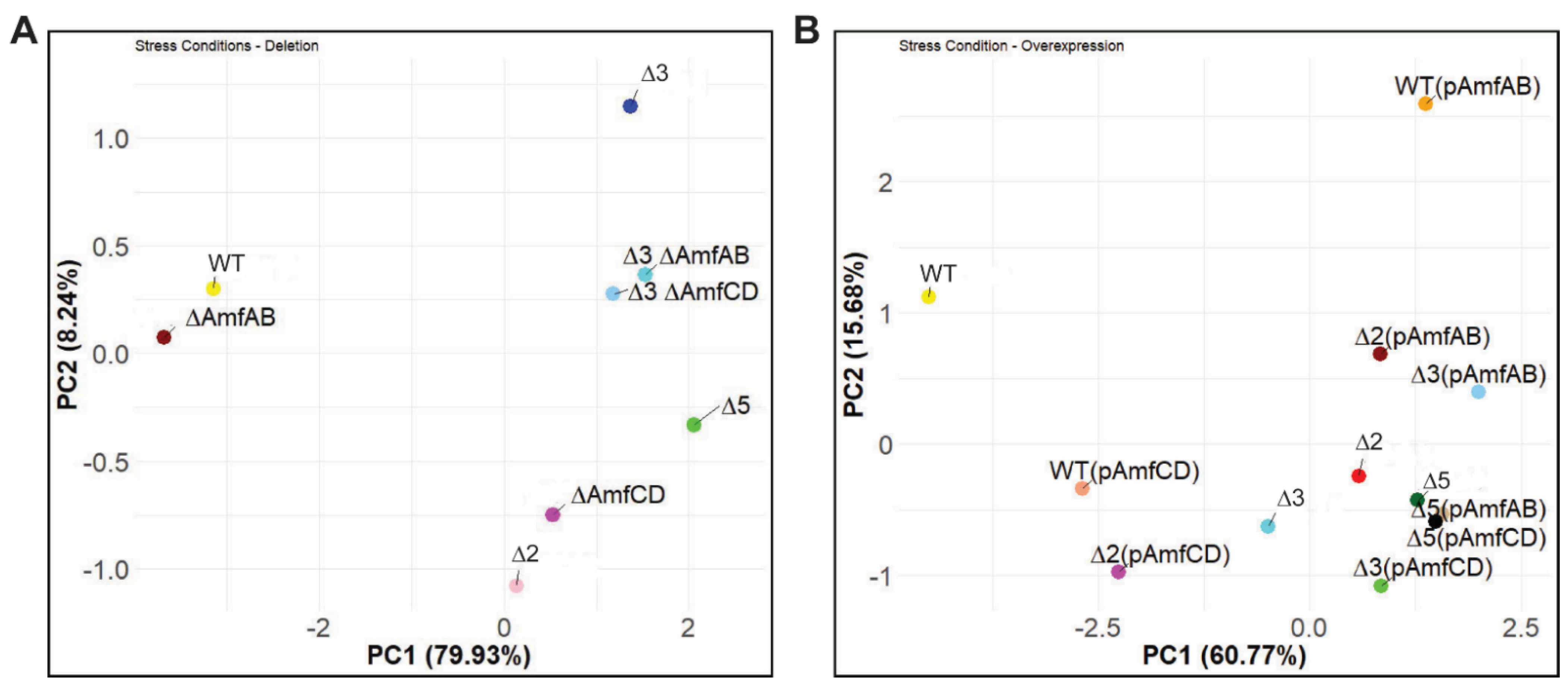 Antibiotics 13 00007 g003