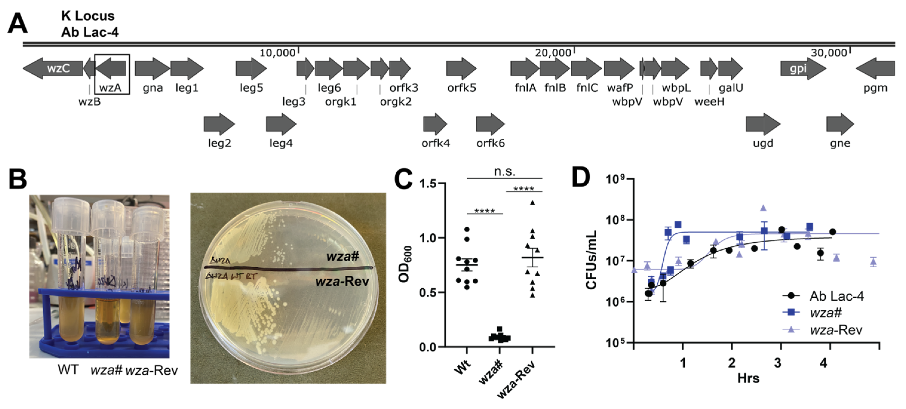 Antibiotics 13 00010 g001