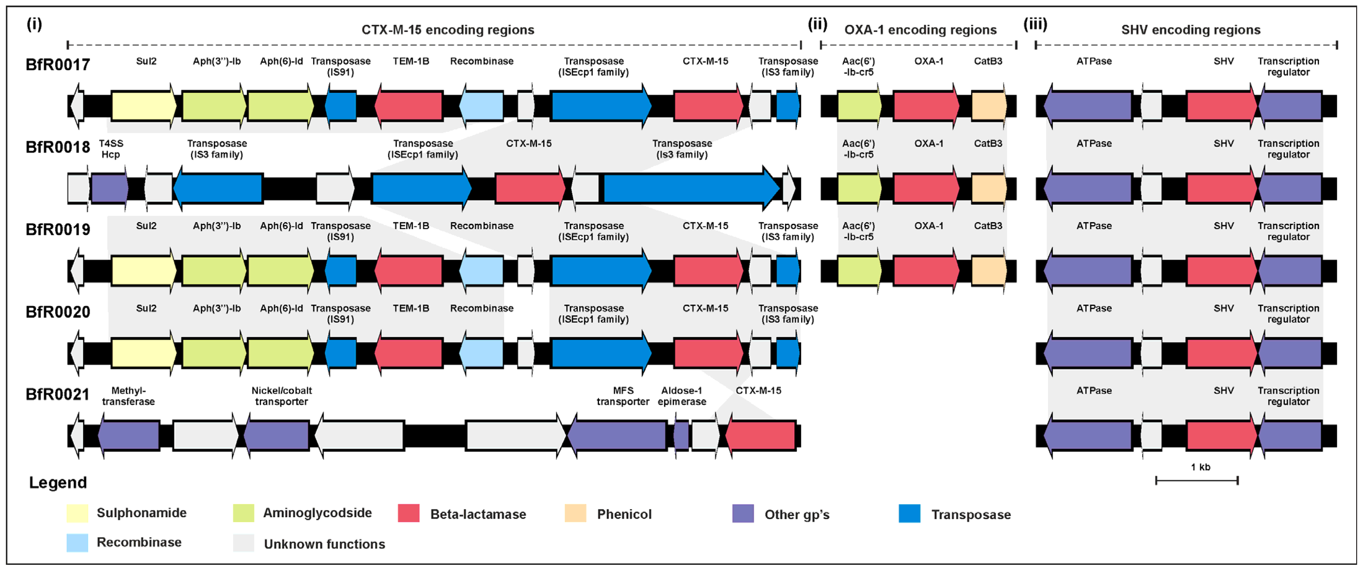 Antibiotics 13 00014 g002