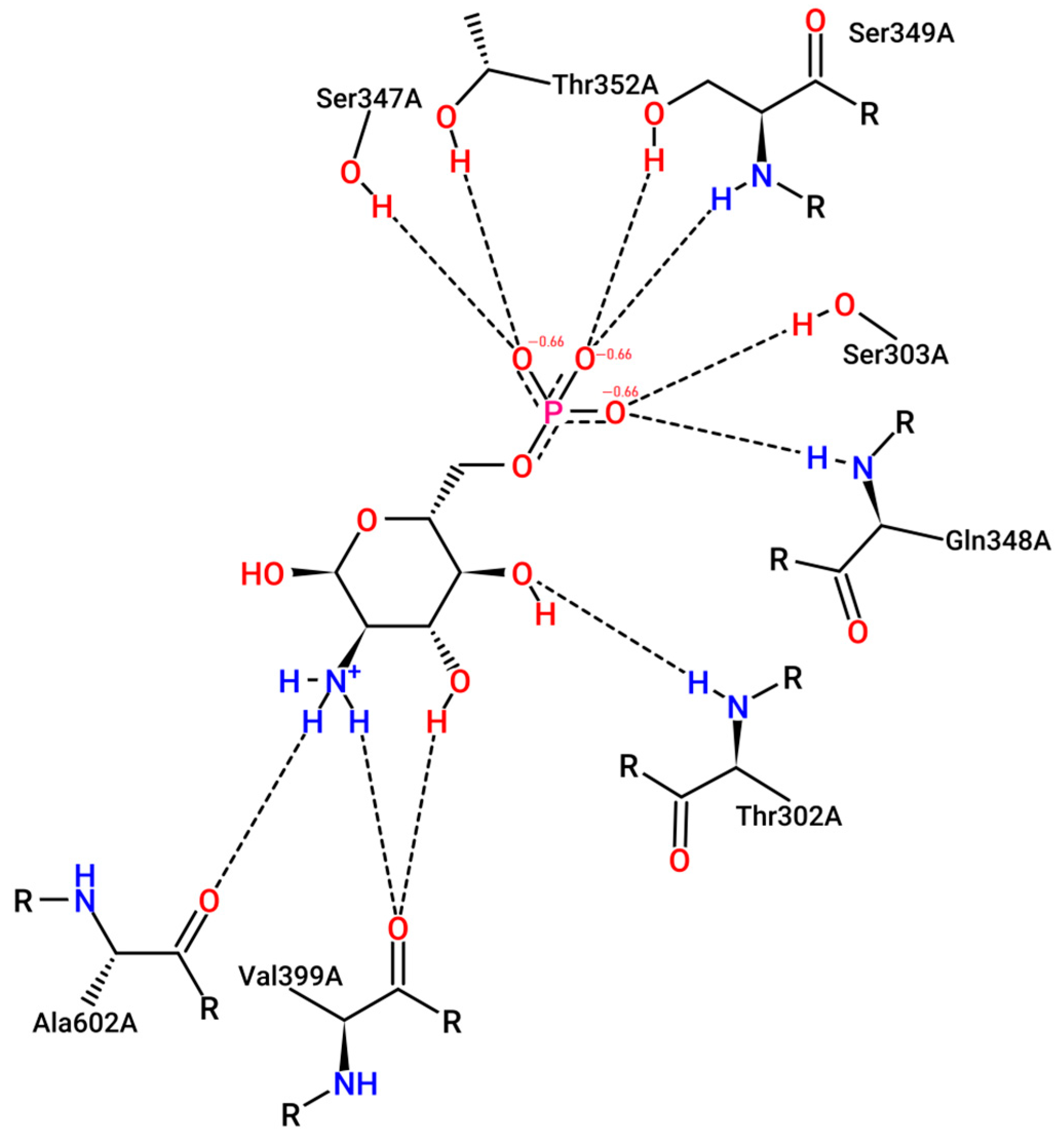 Antibiotics 13 00021 g001