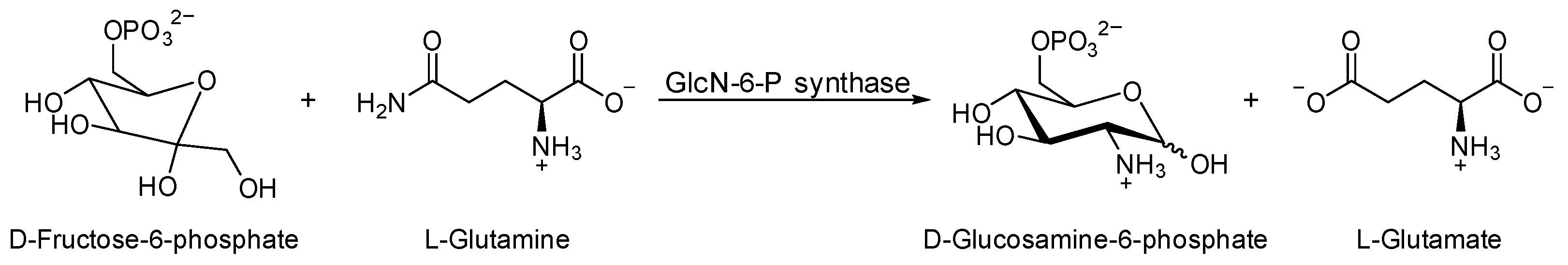Antibiotics 13 00021 sch001