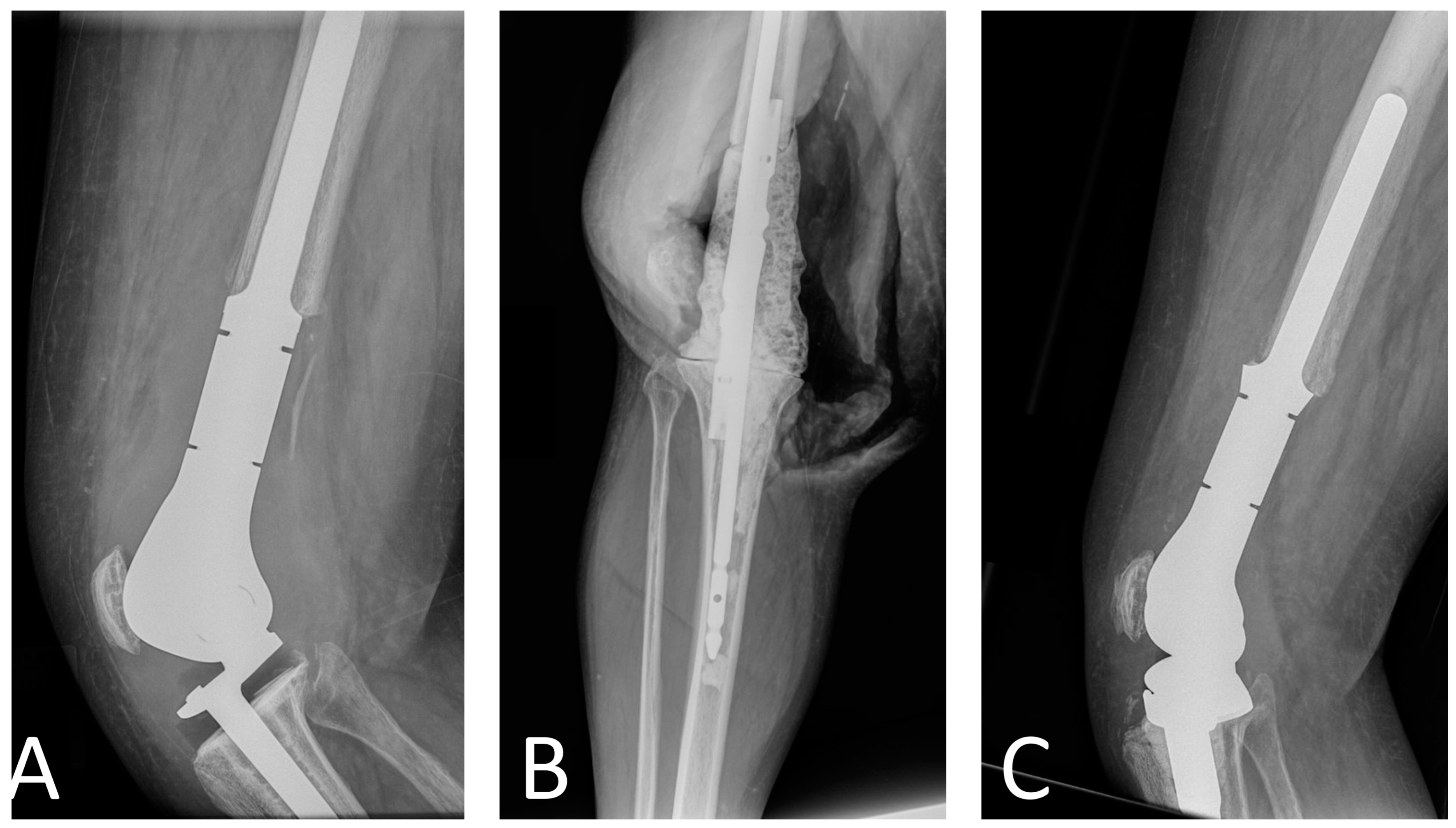 Antibiotics 13 00025 g001