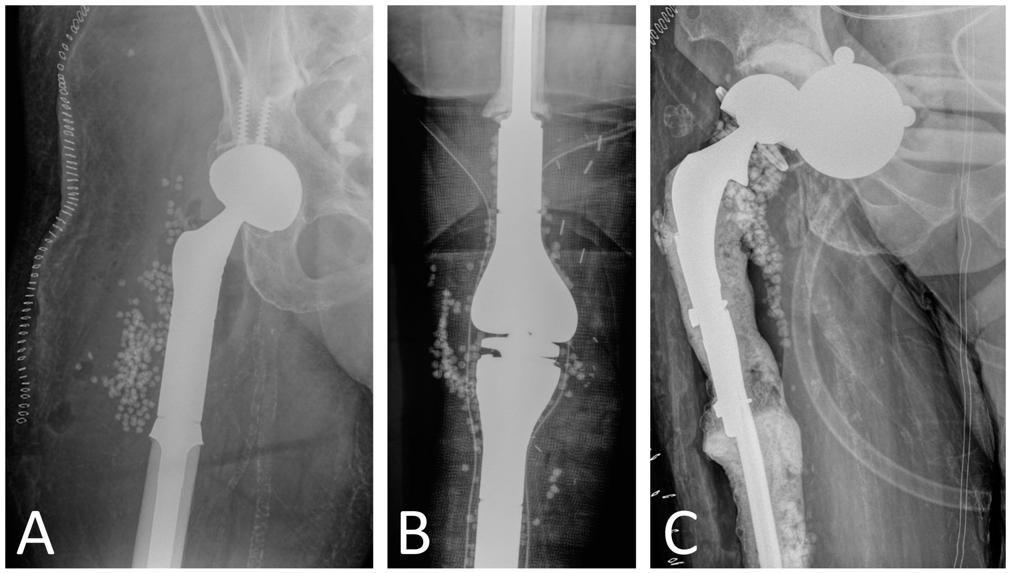 Antibiotics 13 00025 g002