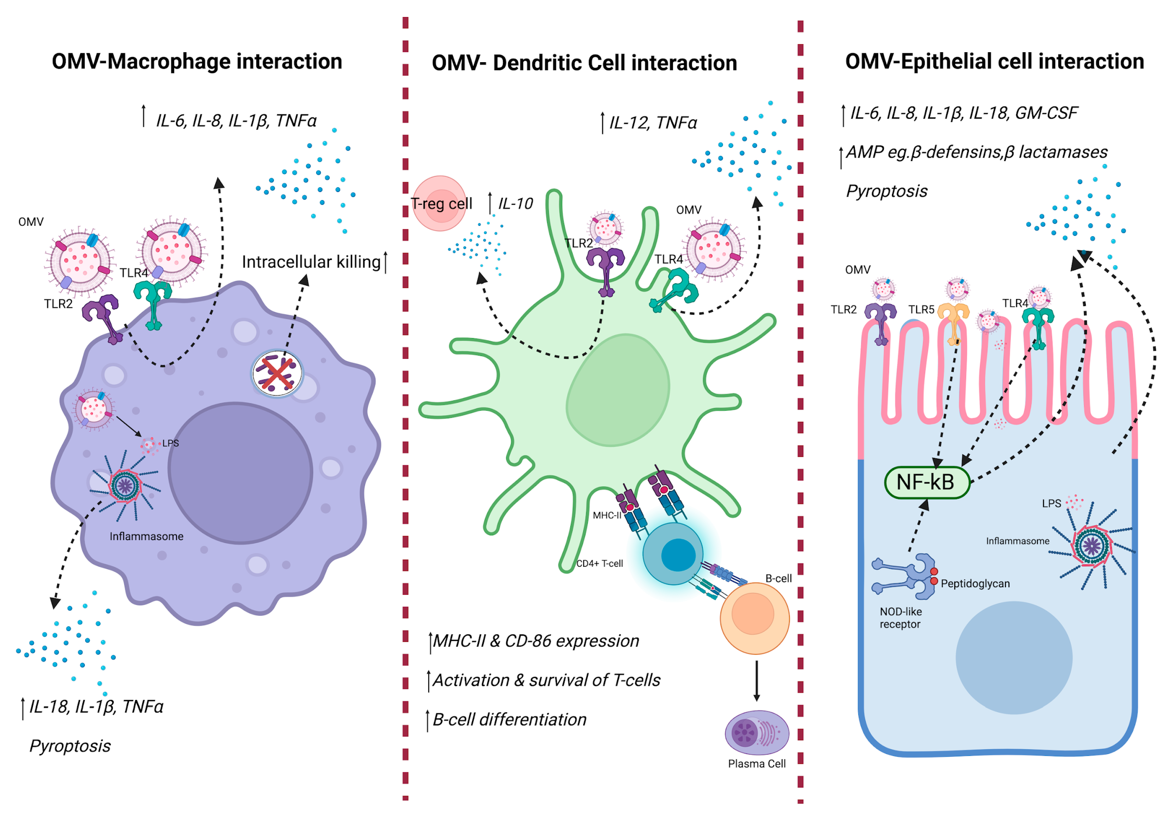 Antibiotics 13 00032 g002