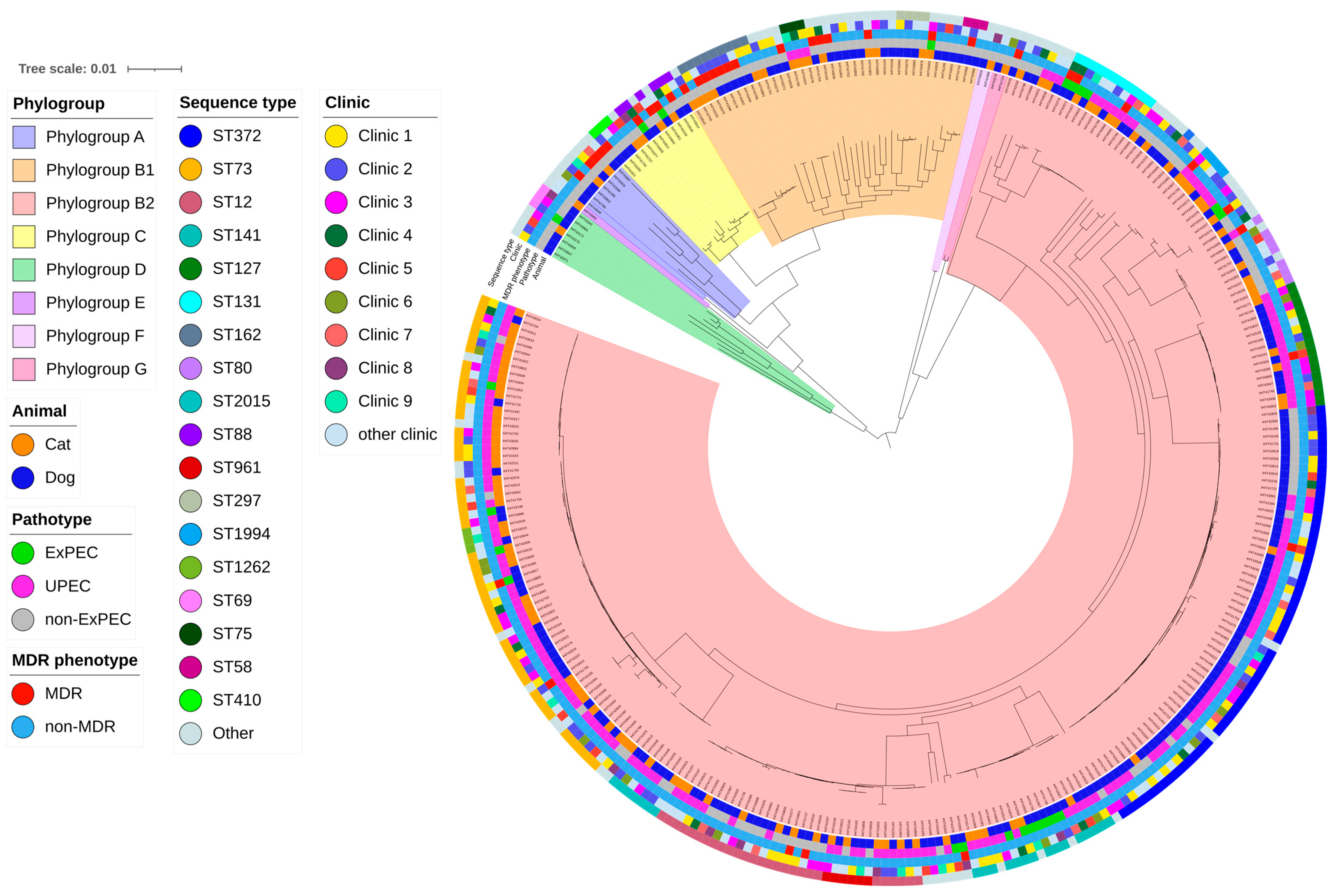 Antibiotics 13 00038 g001