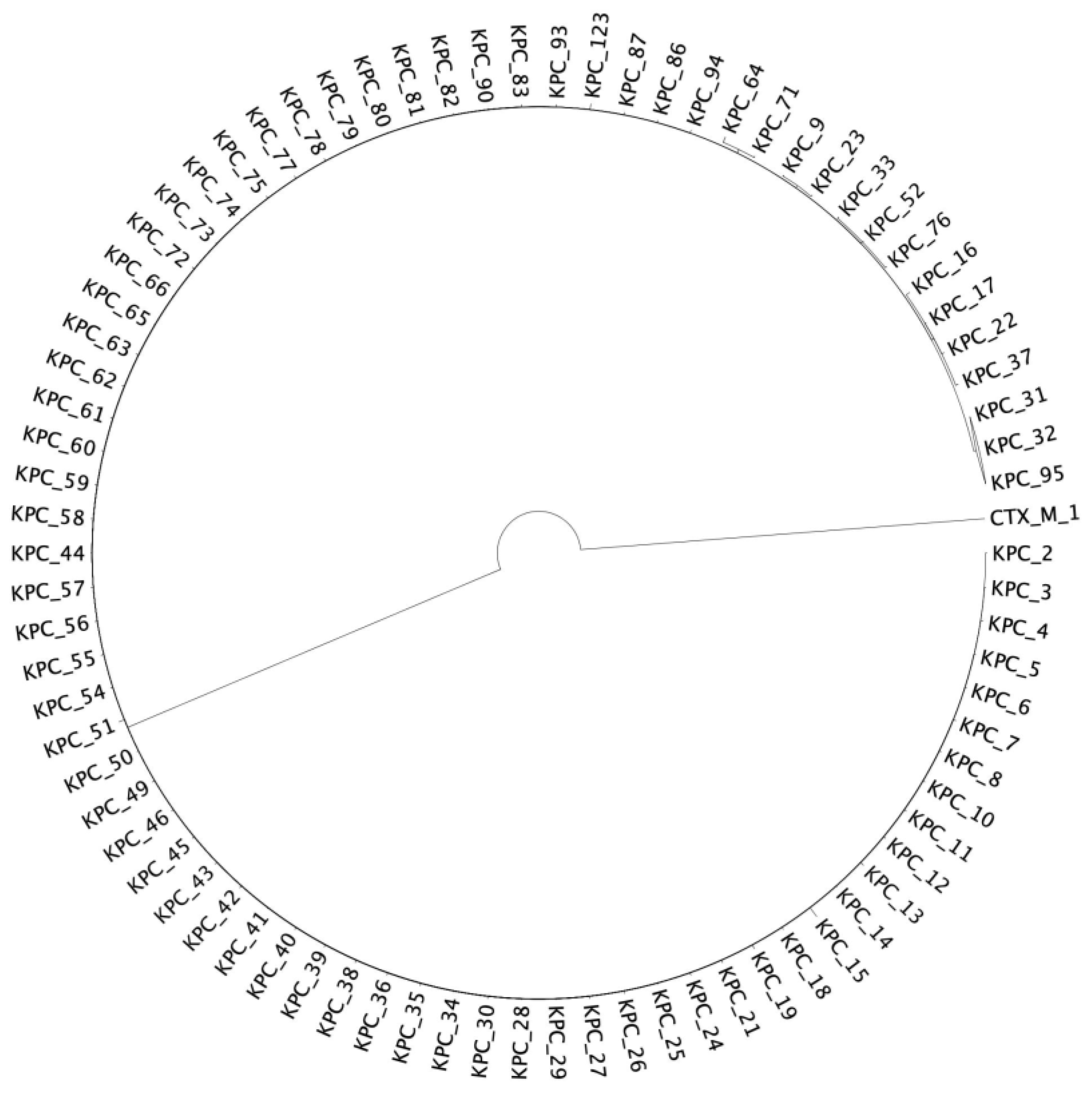 Antibiotics 13 00040 g001