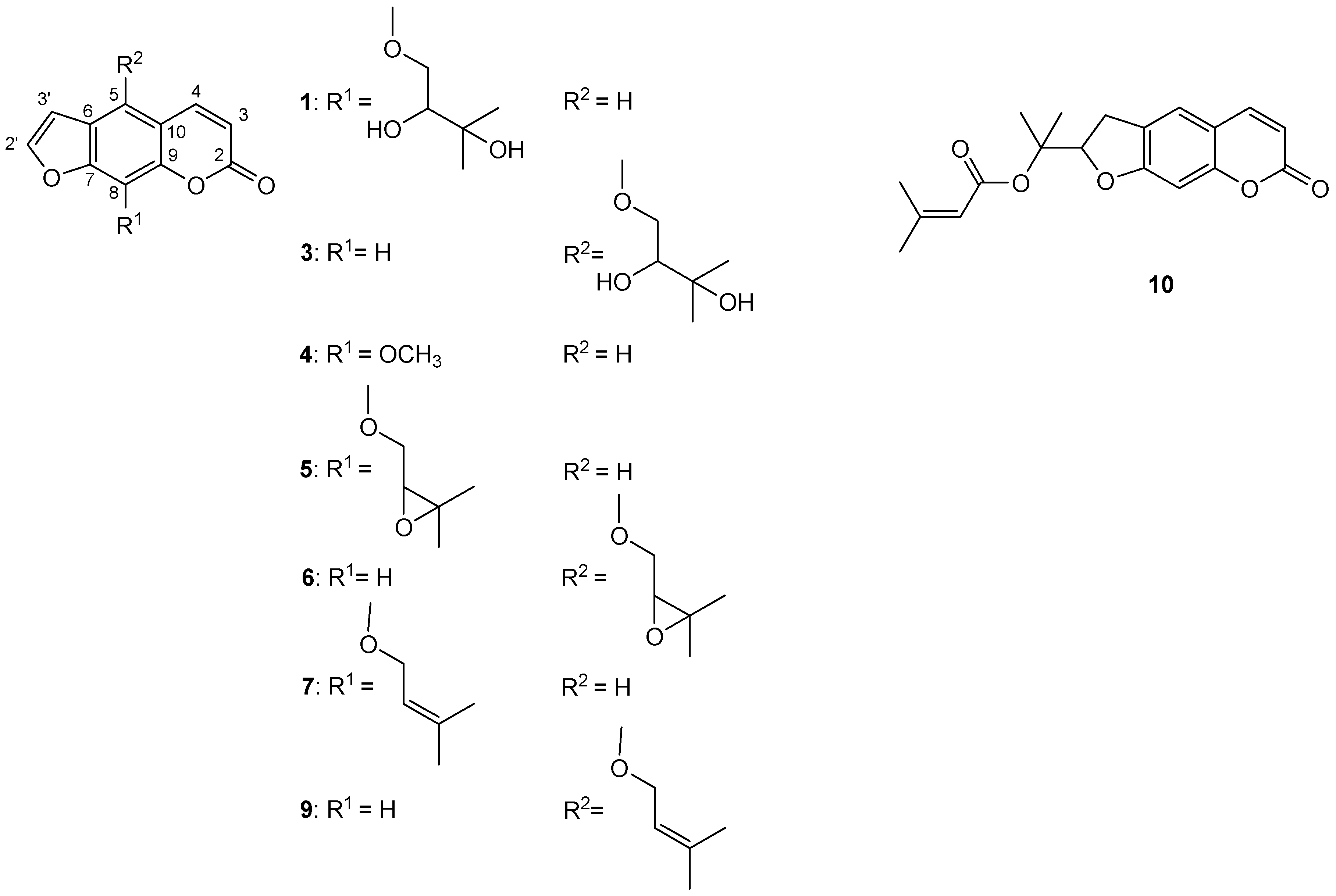 Antibiotics 13 00041 g001