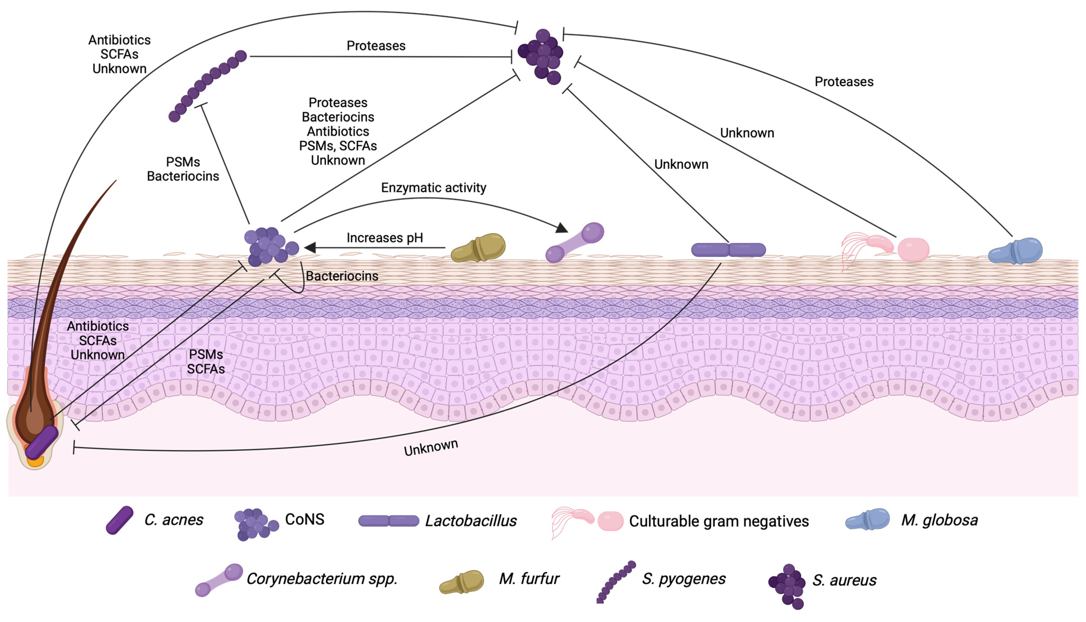 Antibiotics 13 00049 g001
