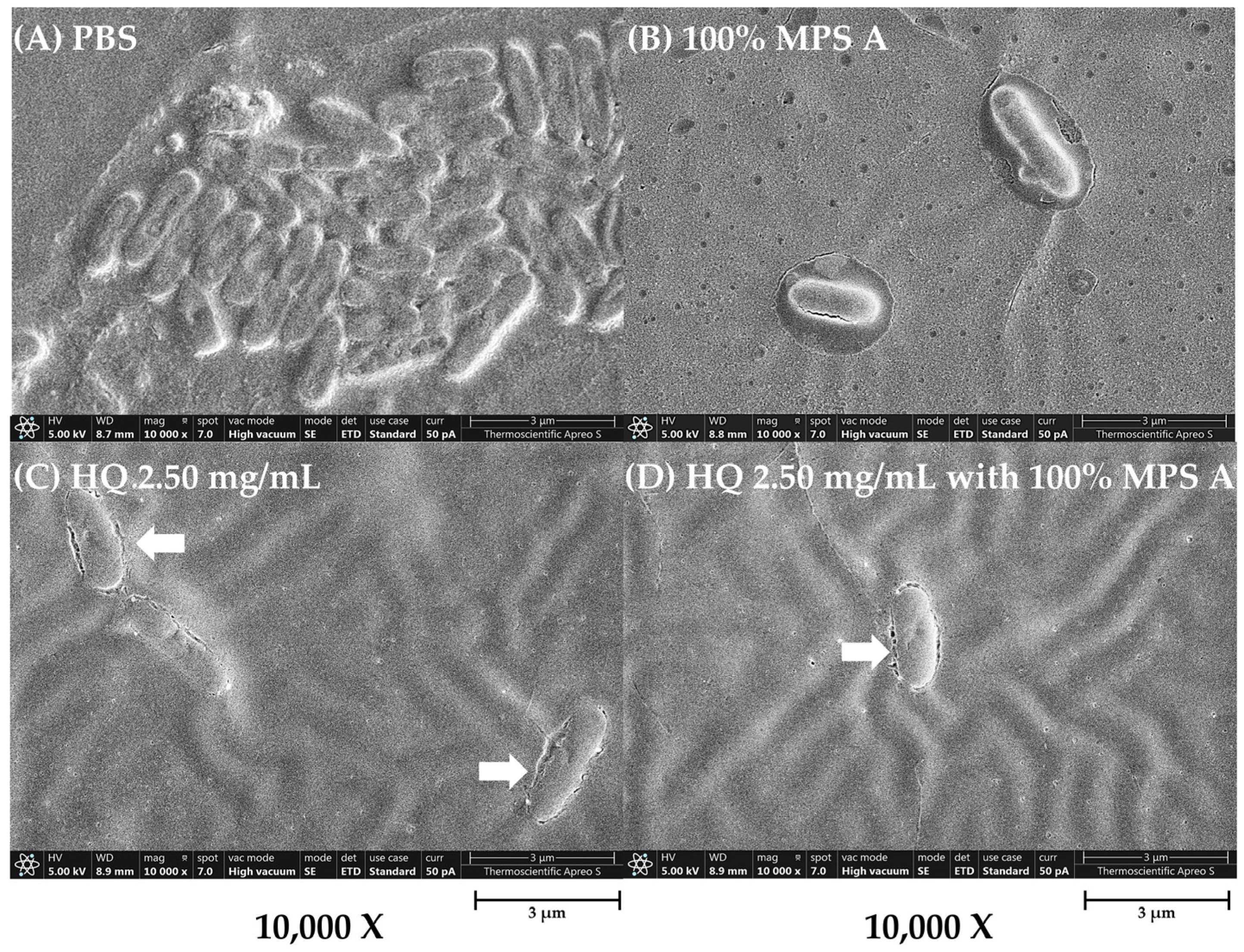 Antibiotics 13 00056 g005