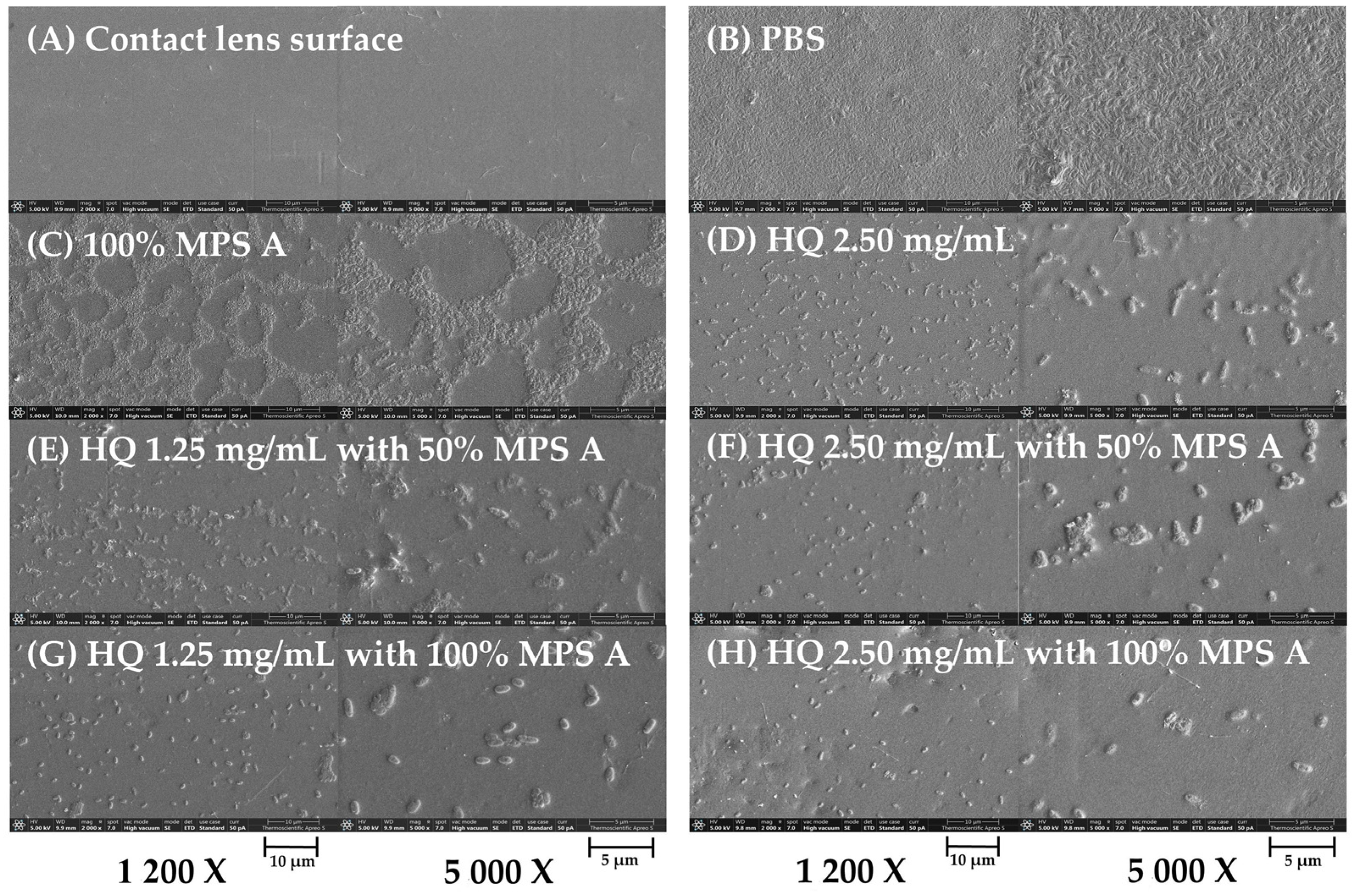 Antibiotics 13 00056 g006