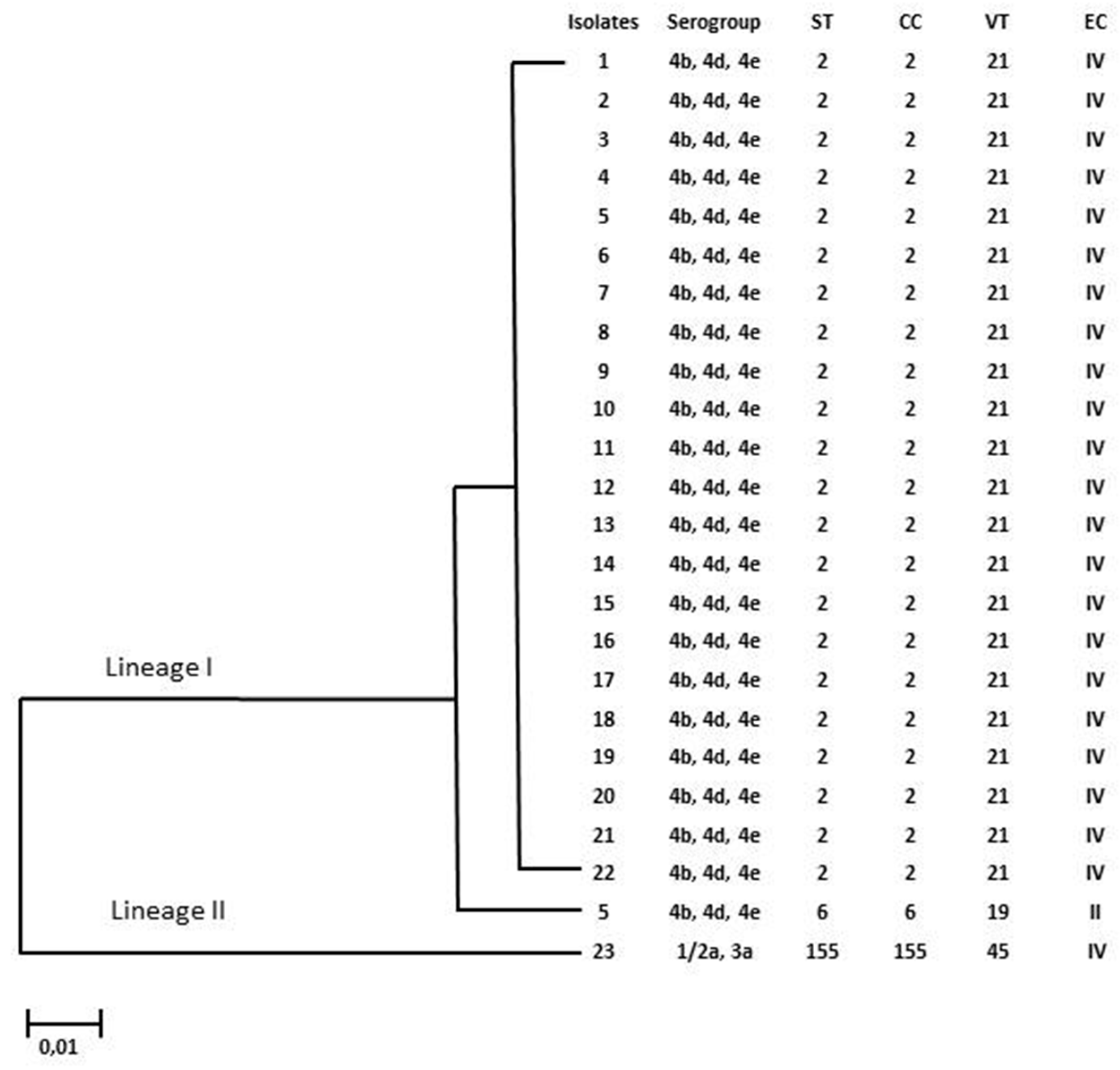 Antibiotics 13 00057 g004