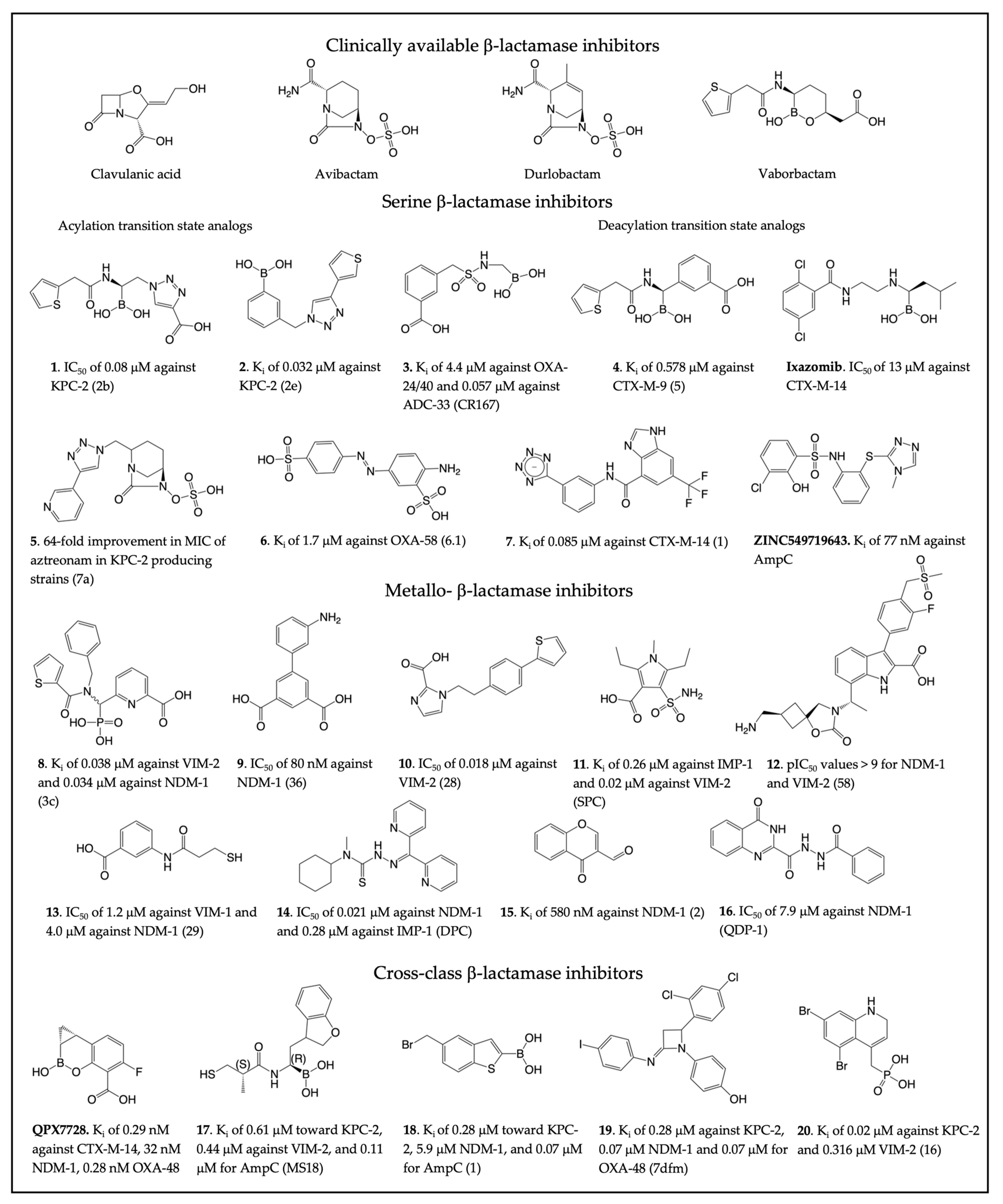 Antibiotics 13 00059 g003
