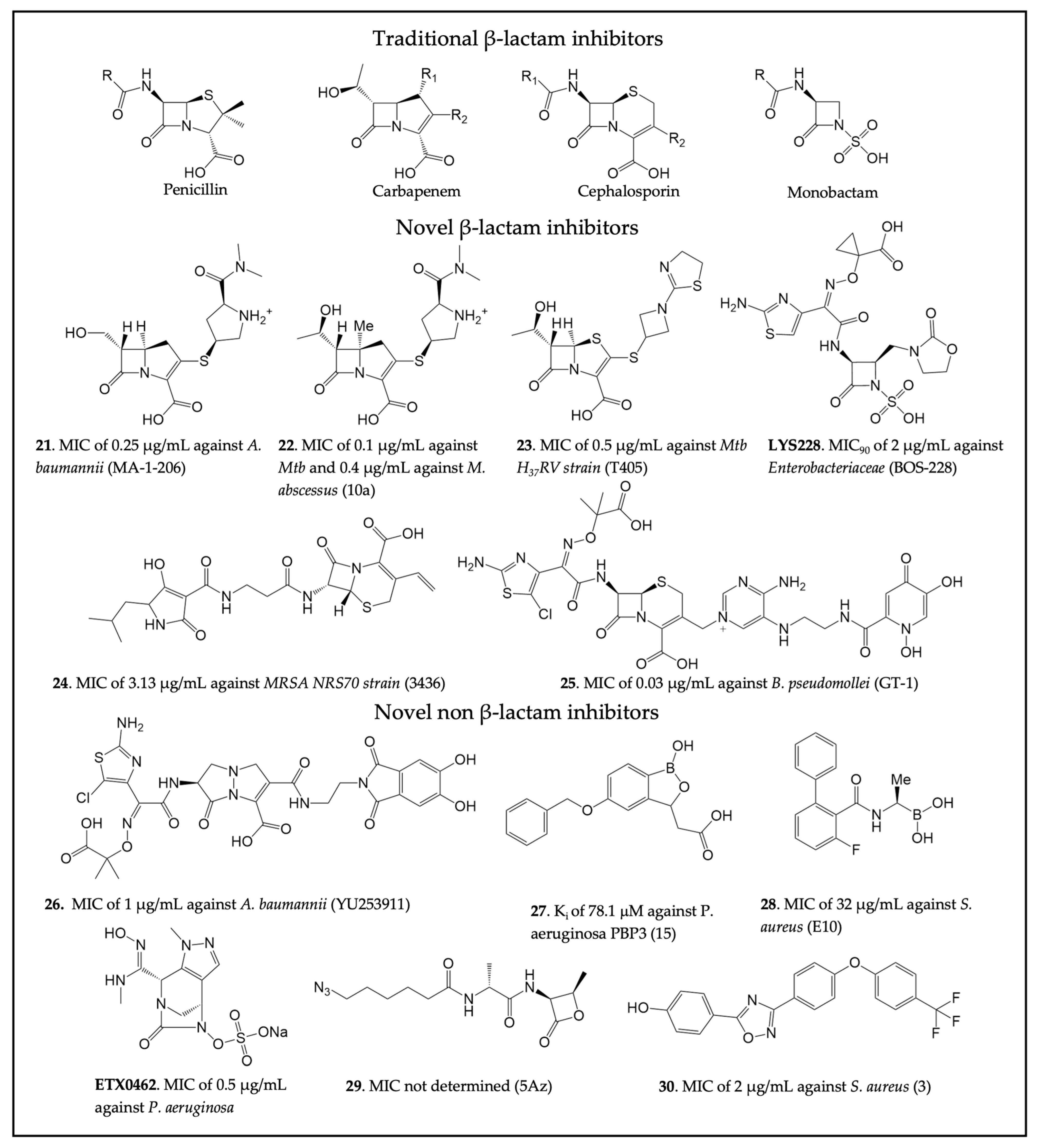 Antibiotics 13 00059 g005