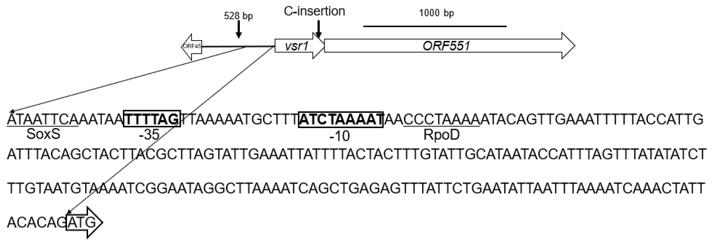 Antibiotics 13 00061 g003
