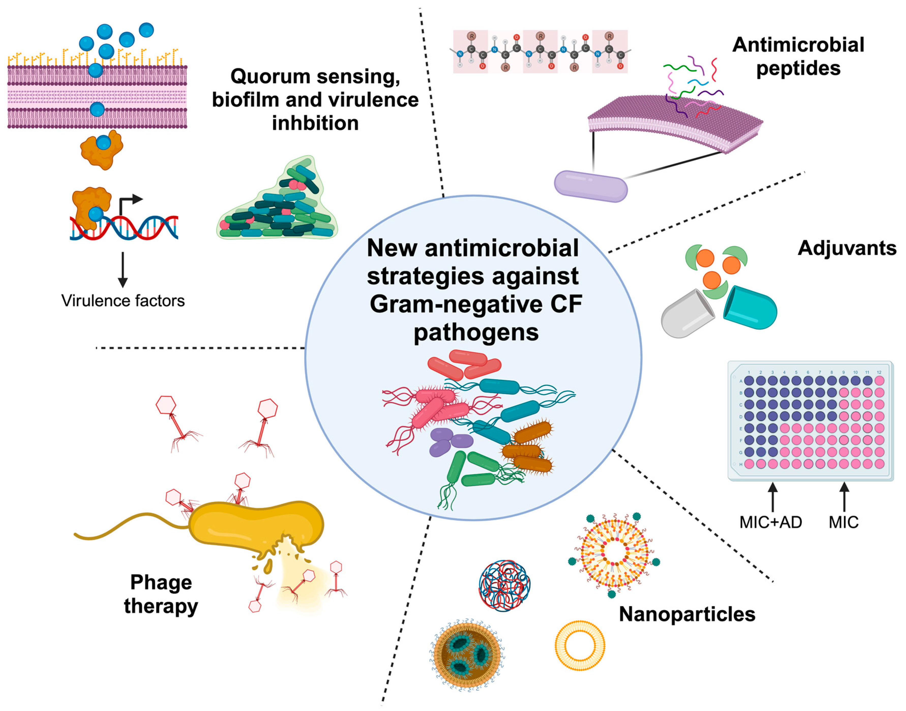 Antibiotics 13 00071 g001