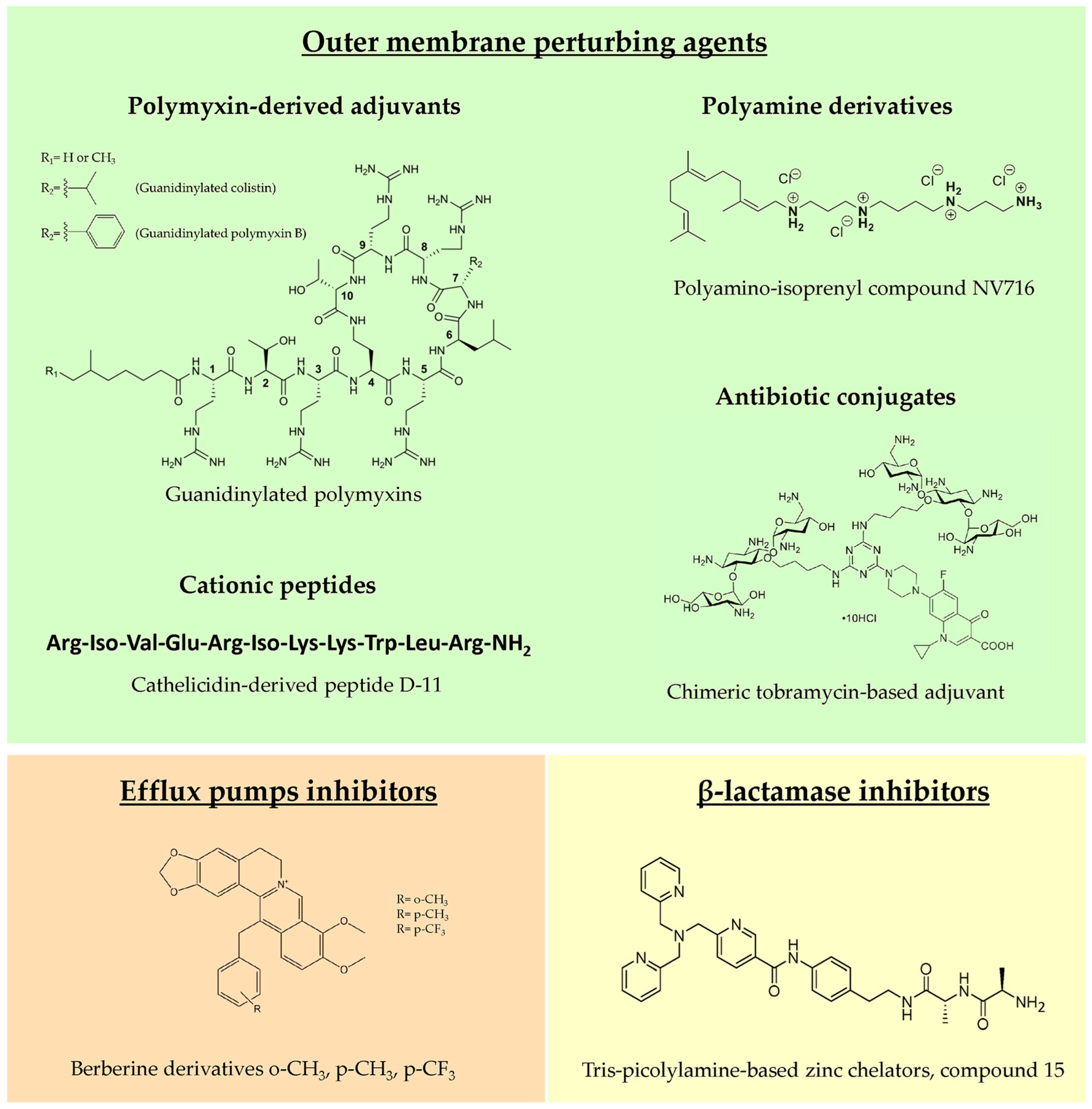 Antibiotics 13 00071 g002