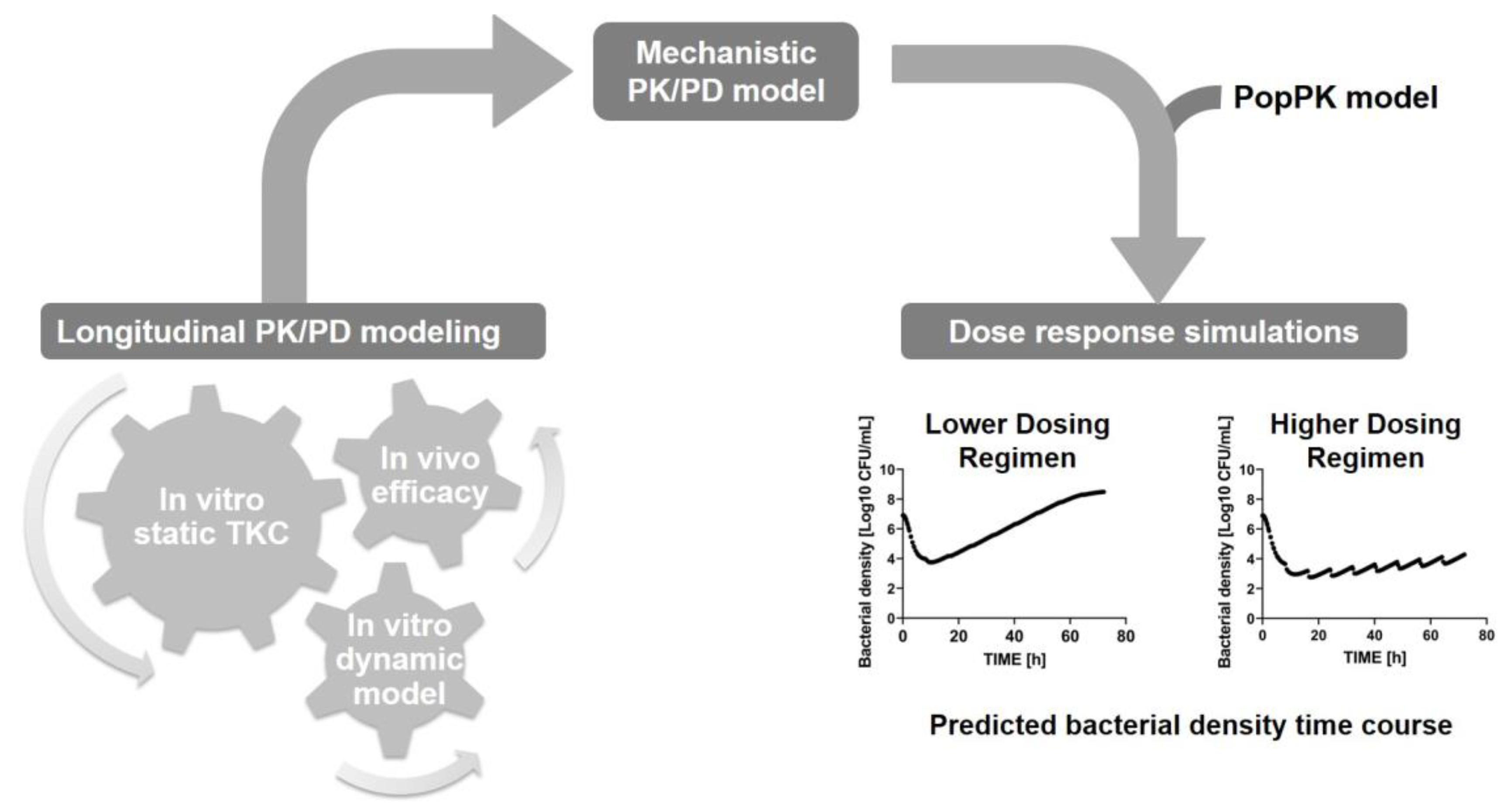 Antibiotics 13 00072 g004