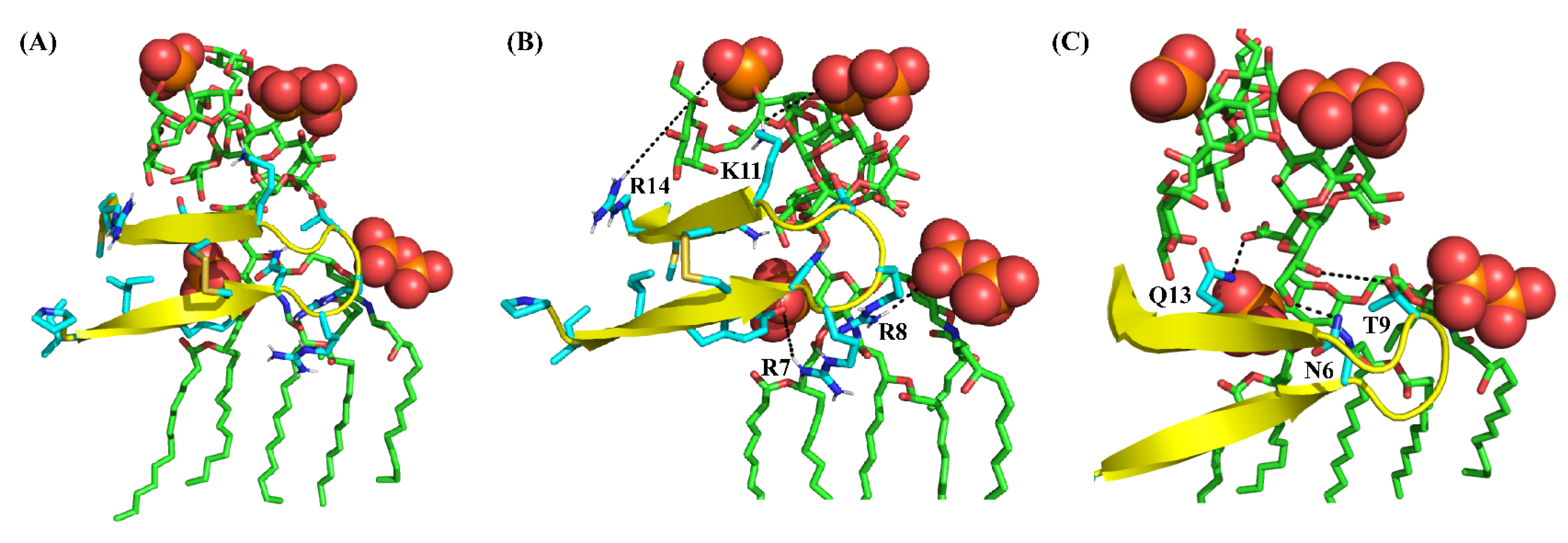 Antibiotics 13 00074 g009