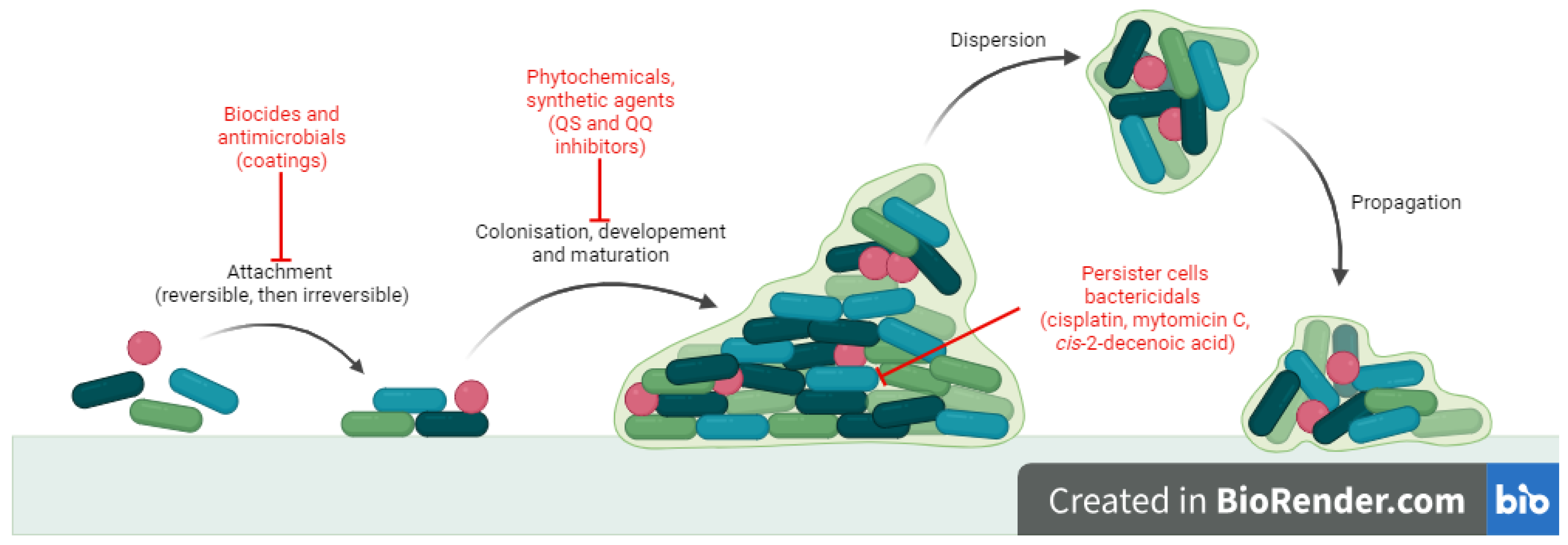 Antibiotics 13 00075 g001