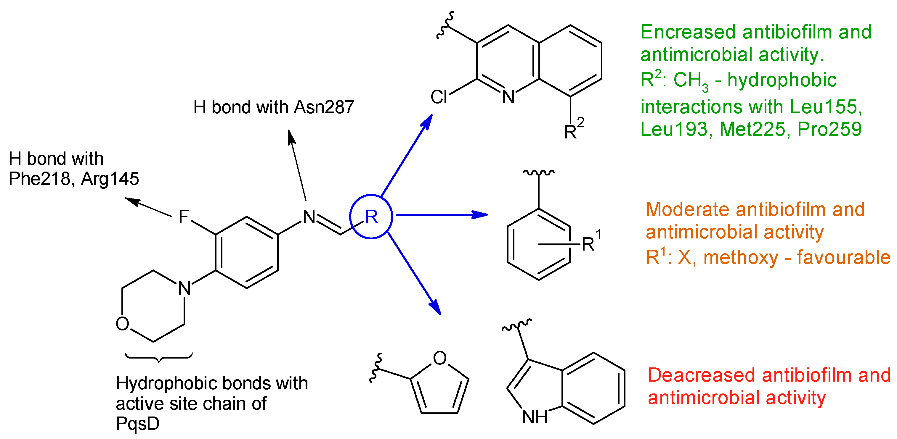 Antibiotics 13 00075 g004