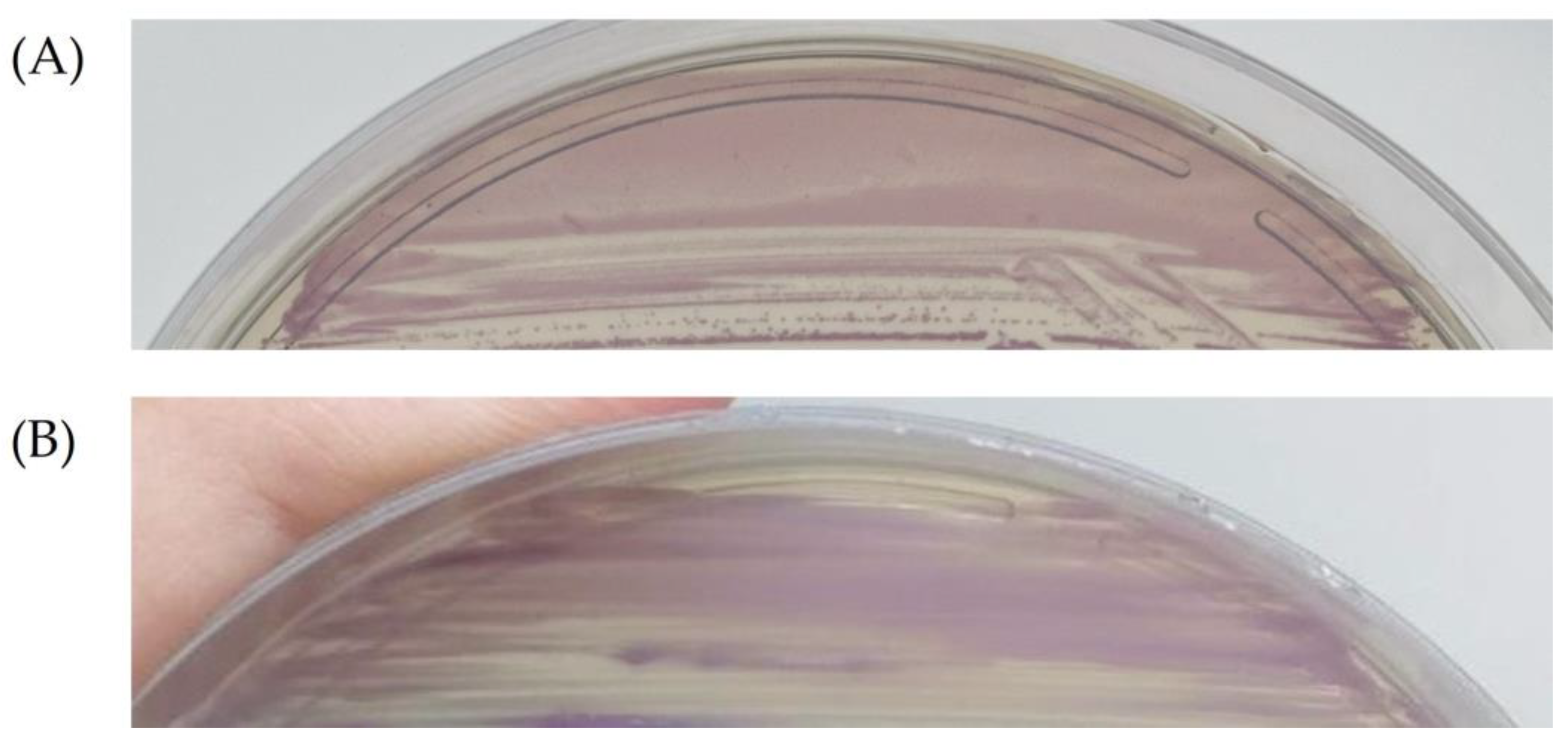 Antibiotics 13 00085 g001