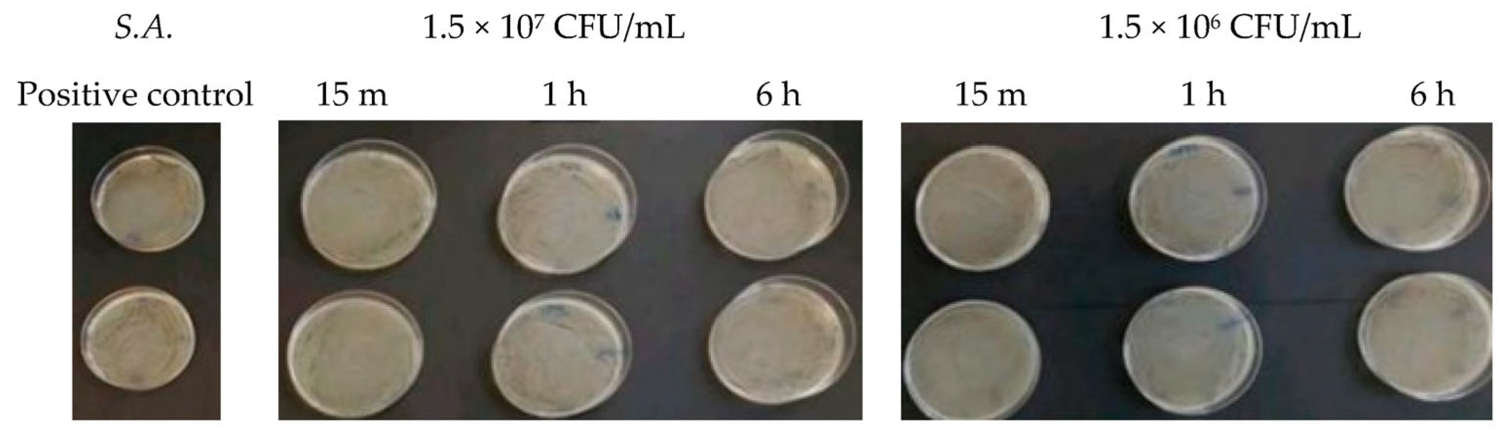 Antibiotics 13 00109 g002 Antibiotics 13 00109 g002