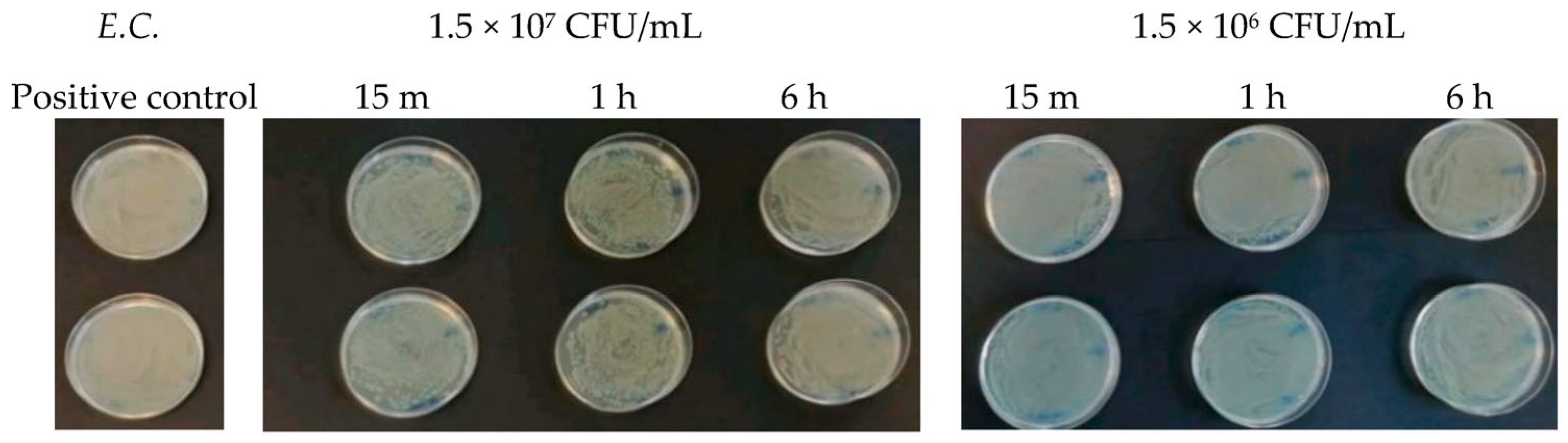 Antibiotics 13 00109 g007 Antibiotics 13 00109 g007