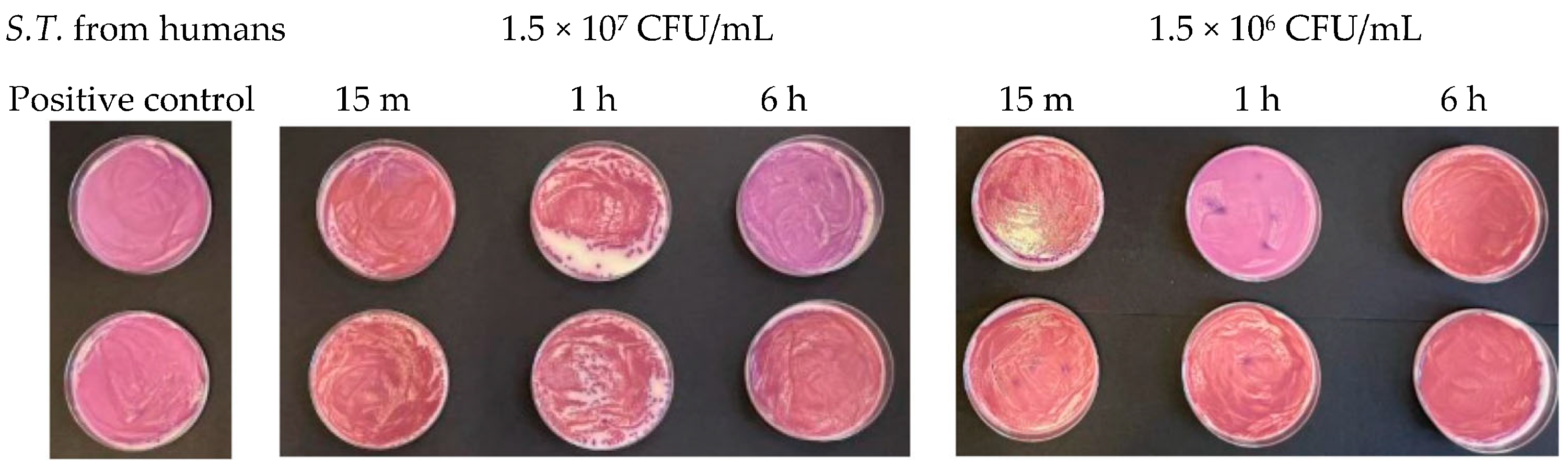 Antibiotics 13 00109 g009 Antibiotics 13 00109 g009