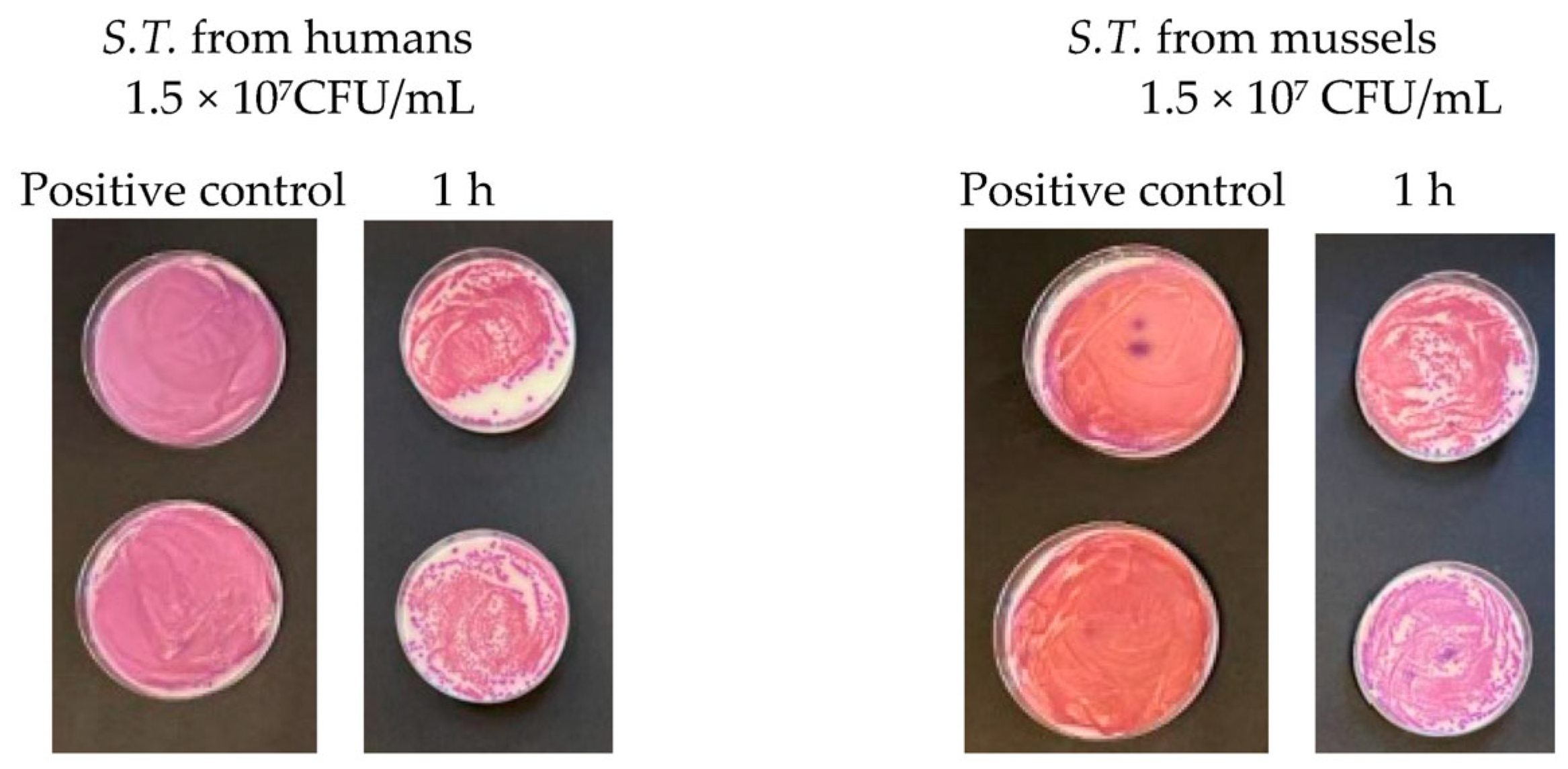 Antibiotics 13 00109 g010 Antibiotics 13 00109 g010