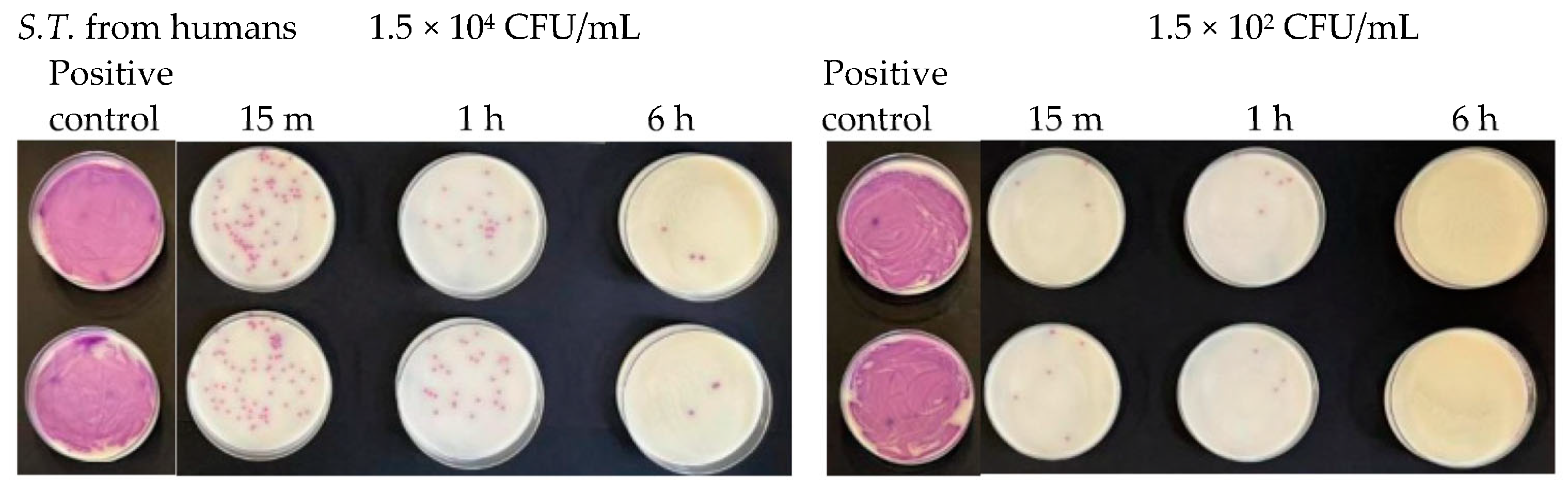 Antibiotics 13 00109 g015 Antibiotics 13 00109 g015