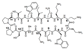 Antibiotics 13 00119 i009