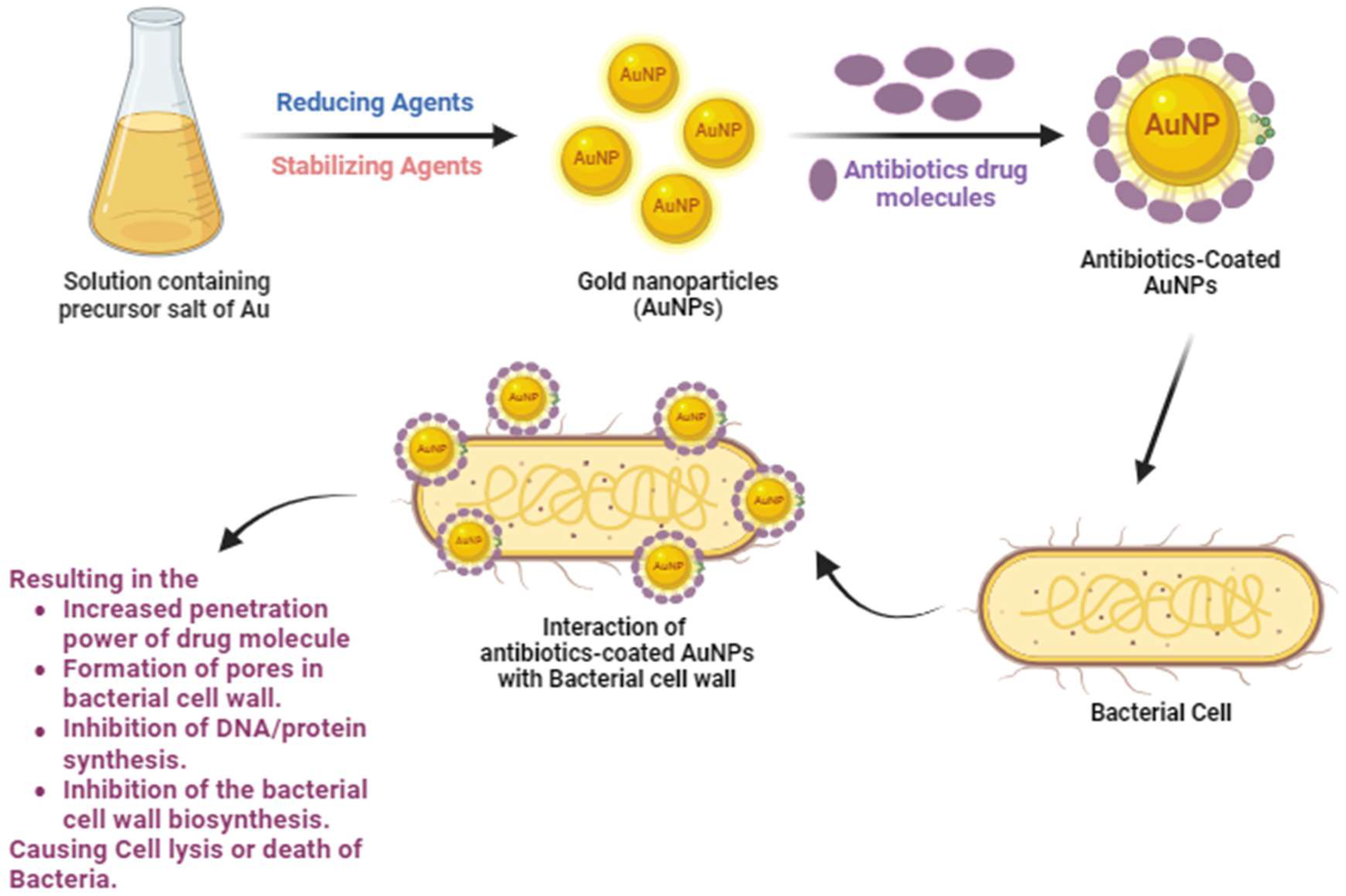 Antibiotics 13 00124 g001