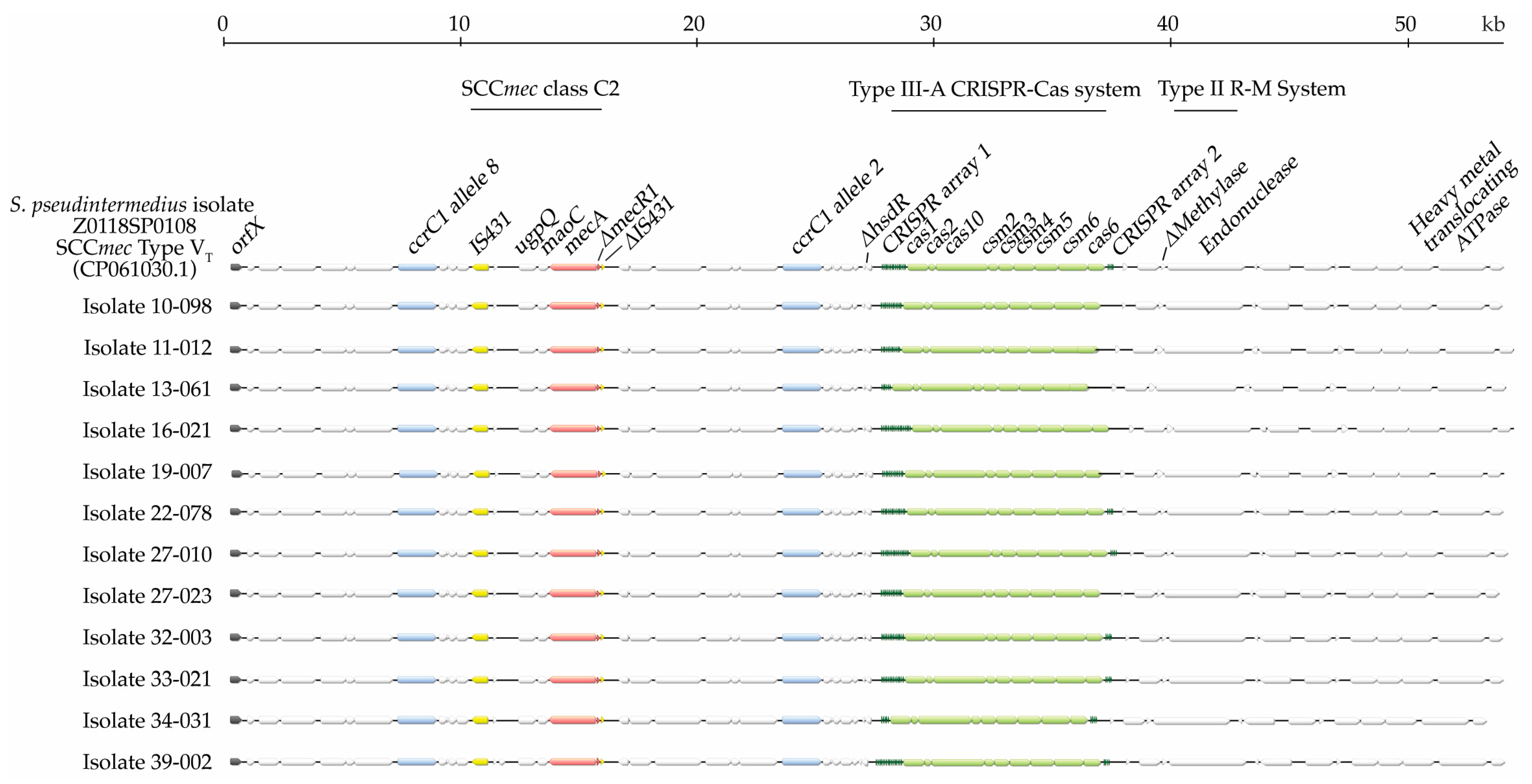 Antibiotics 13 00130 g002