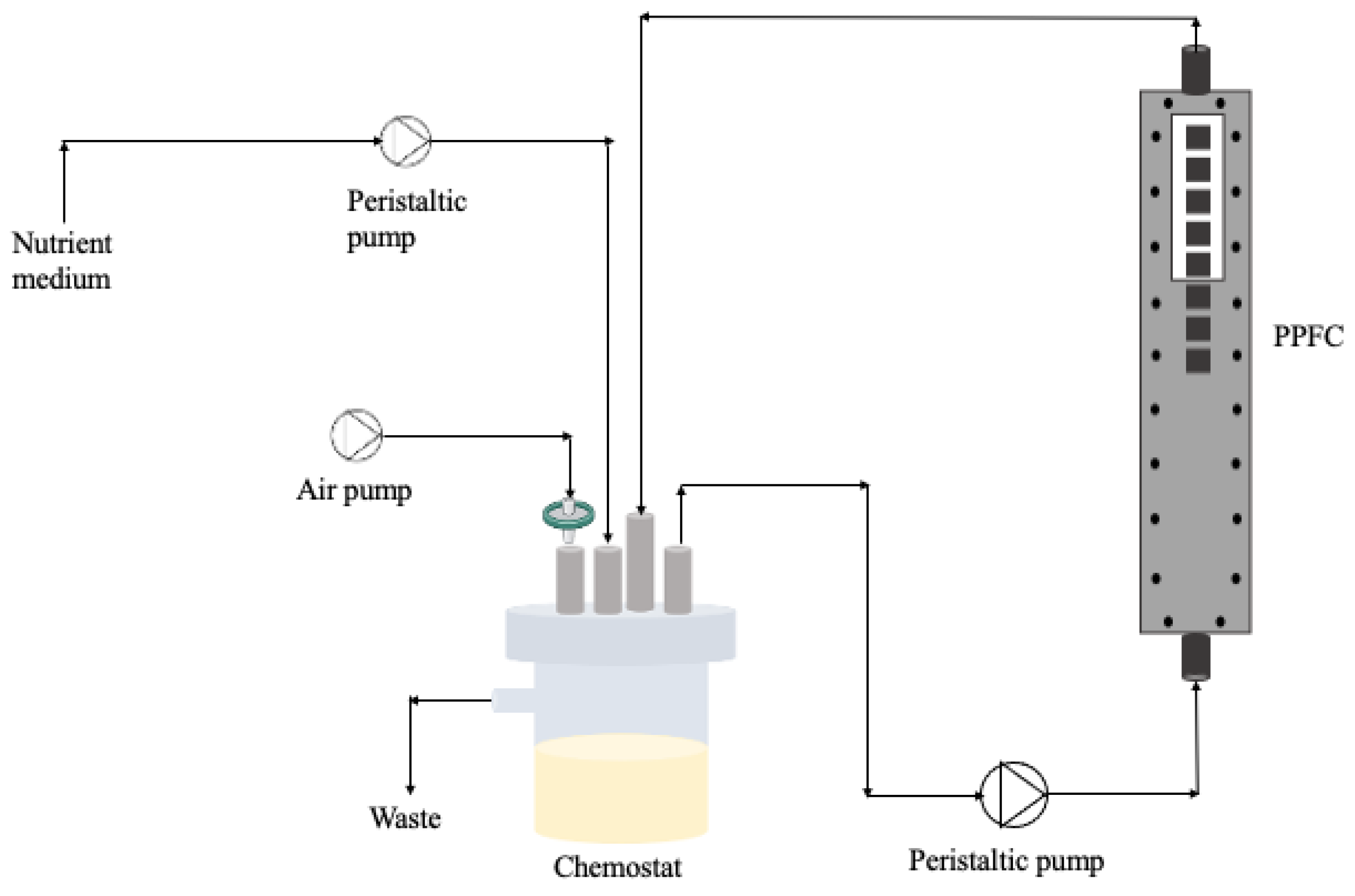 Antibiotics 13 00140 g009