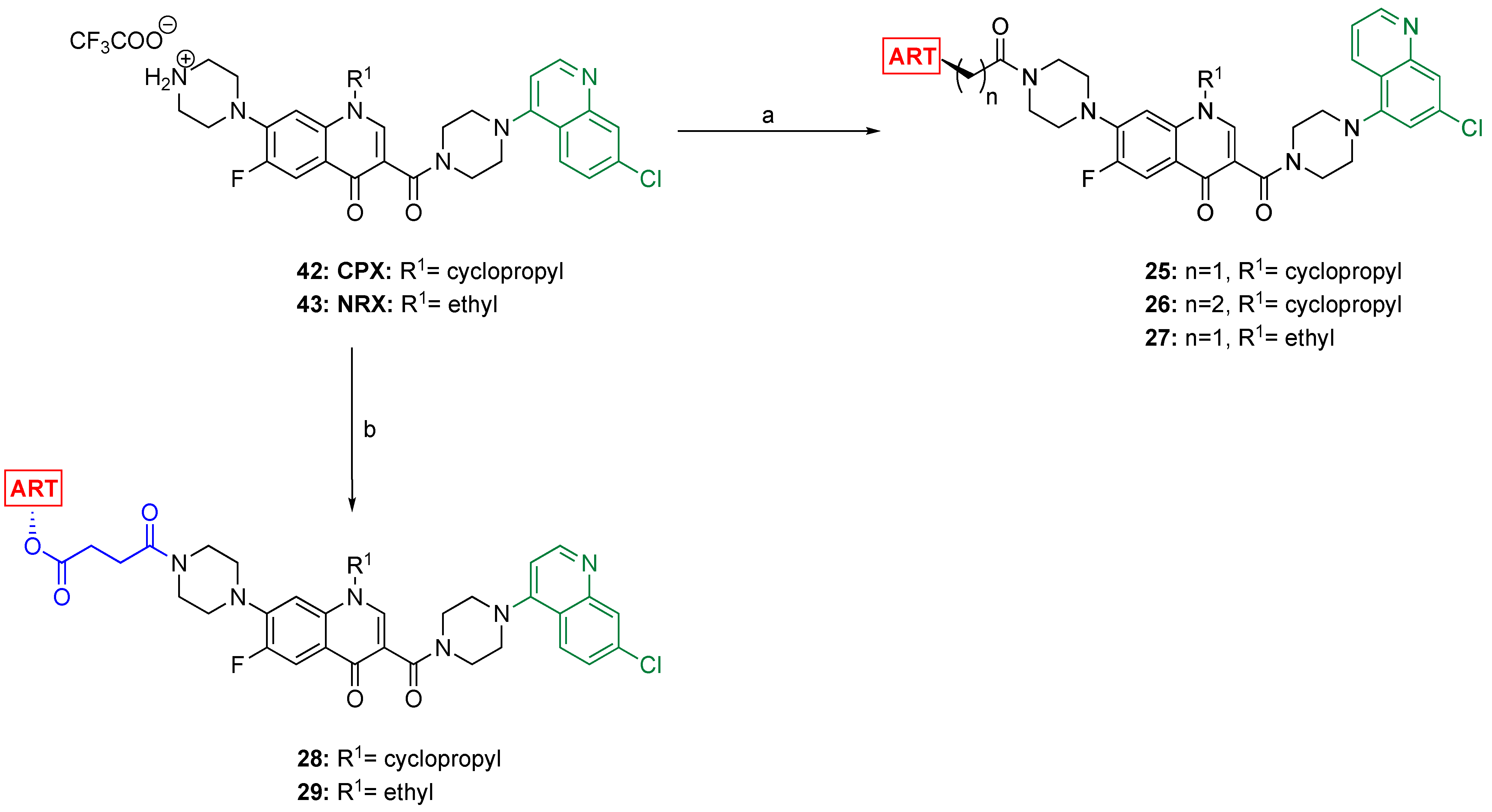 Antibiotics 13 00142 sch003