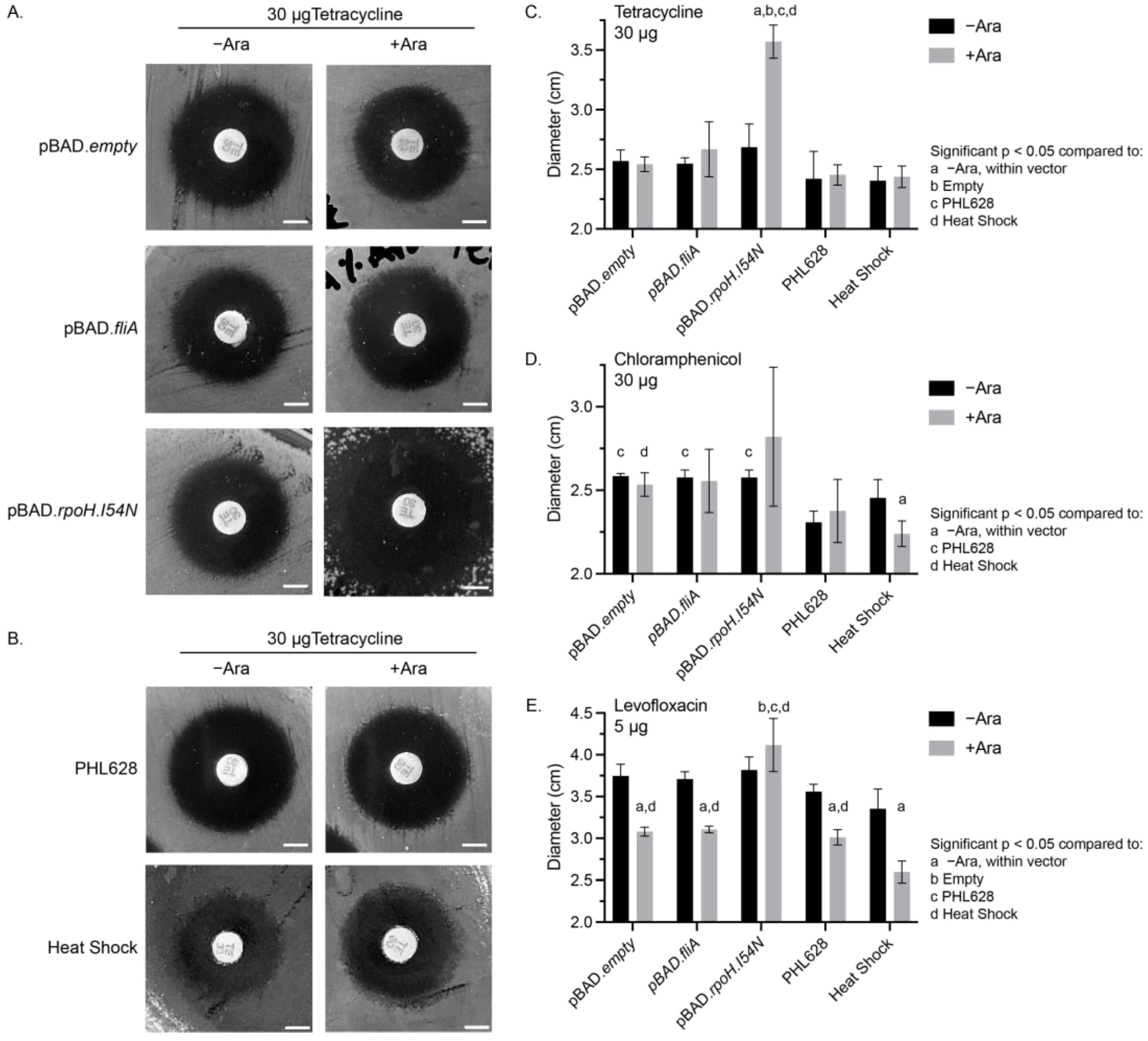 Antibiotics 13 00143 g001