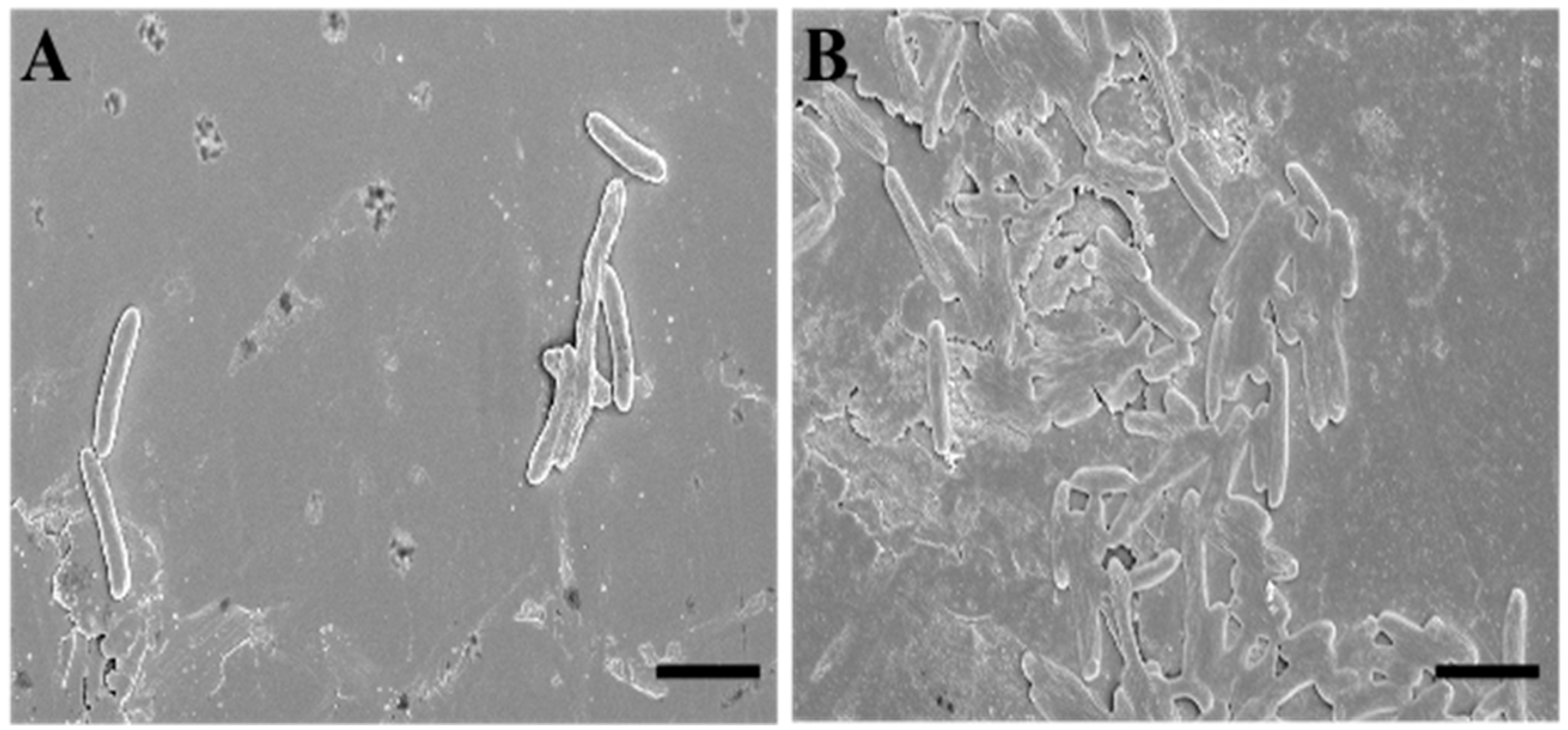 Antibiotics 13 00145 g003