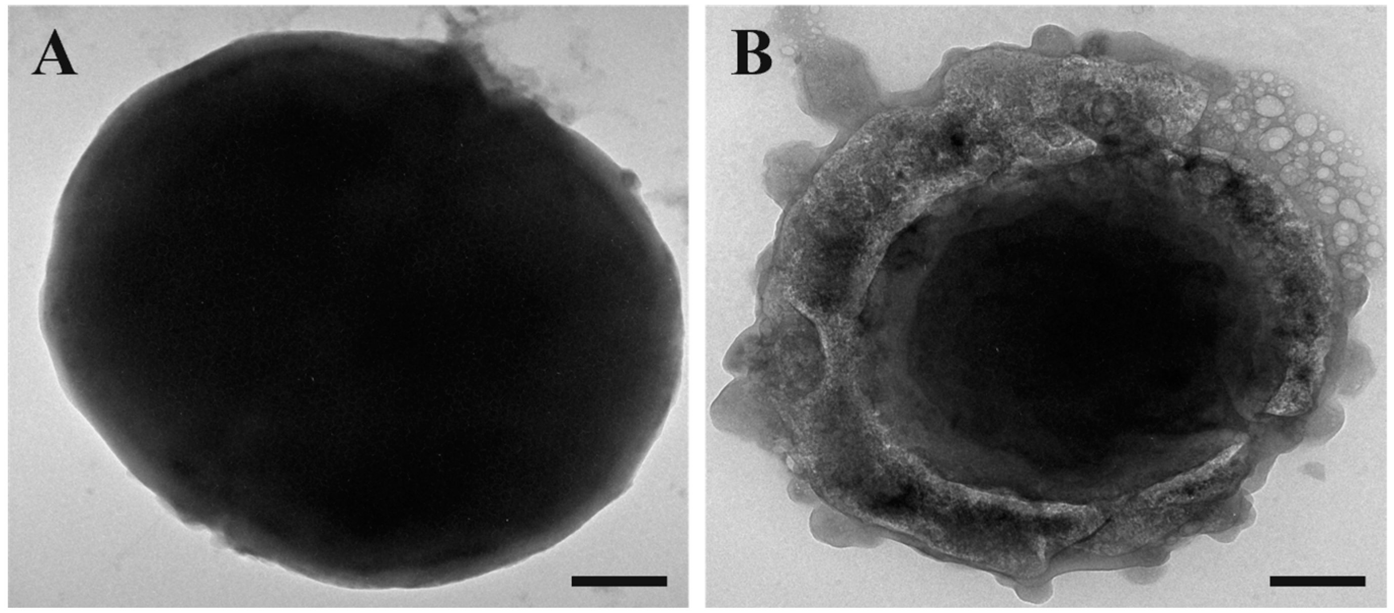 Antibiotics 13 00145 g004