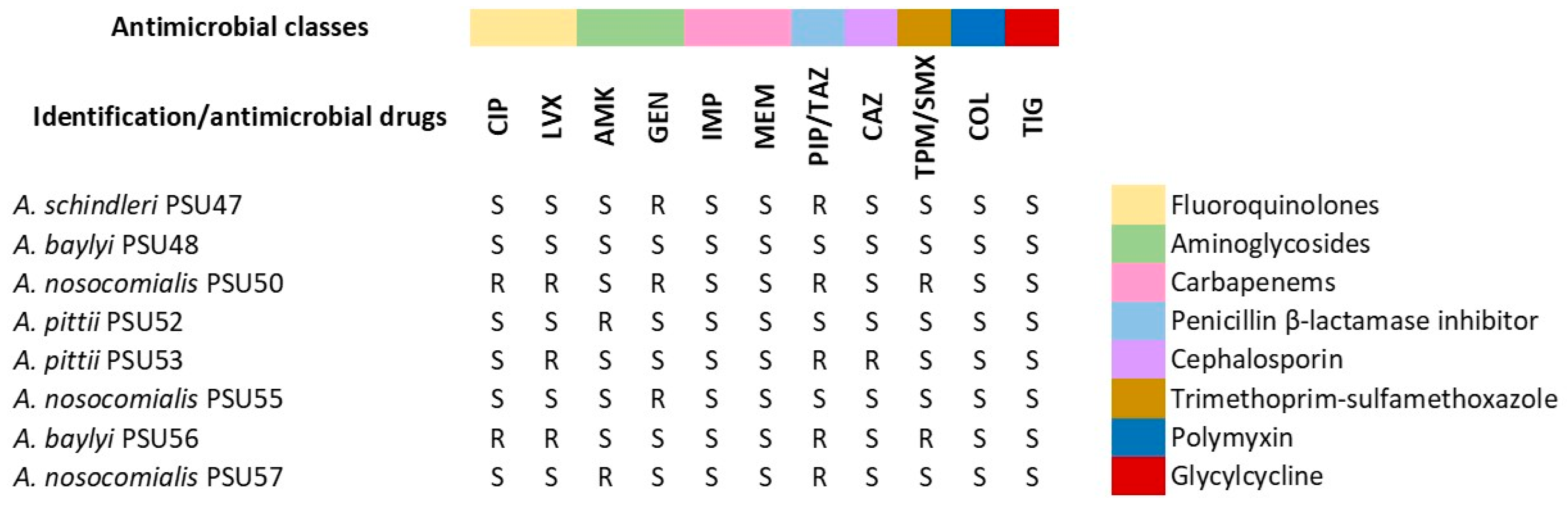 Antibiotics 13 00149 g001