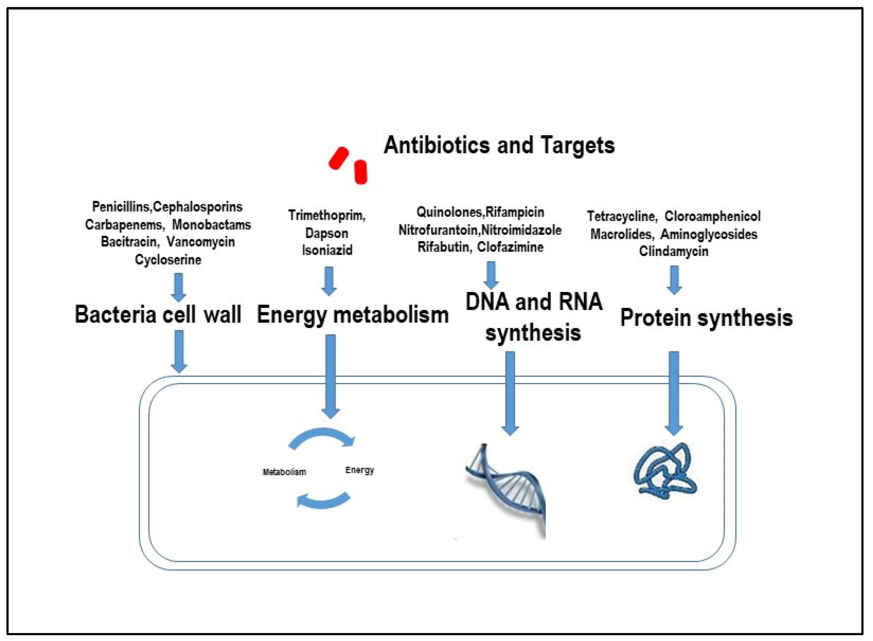 Antibiotics 13 00151 g001