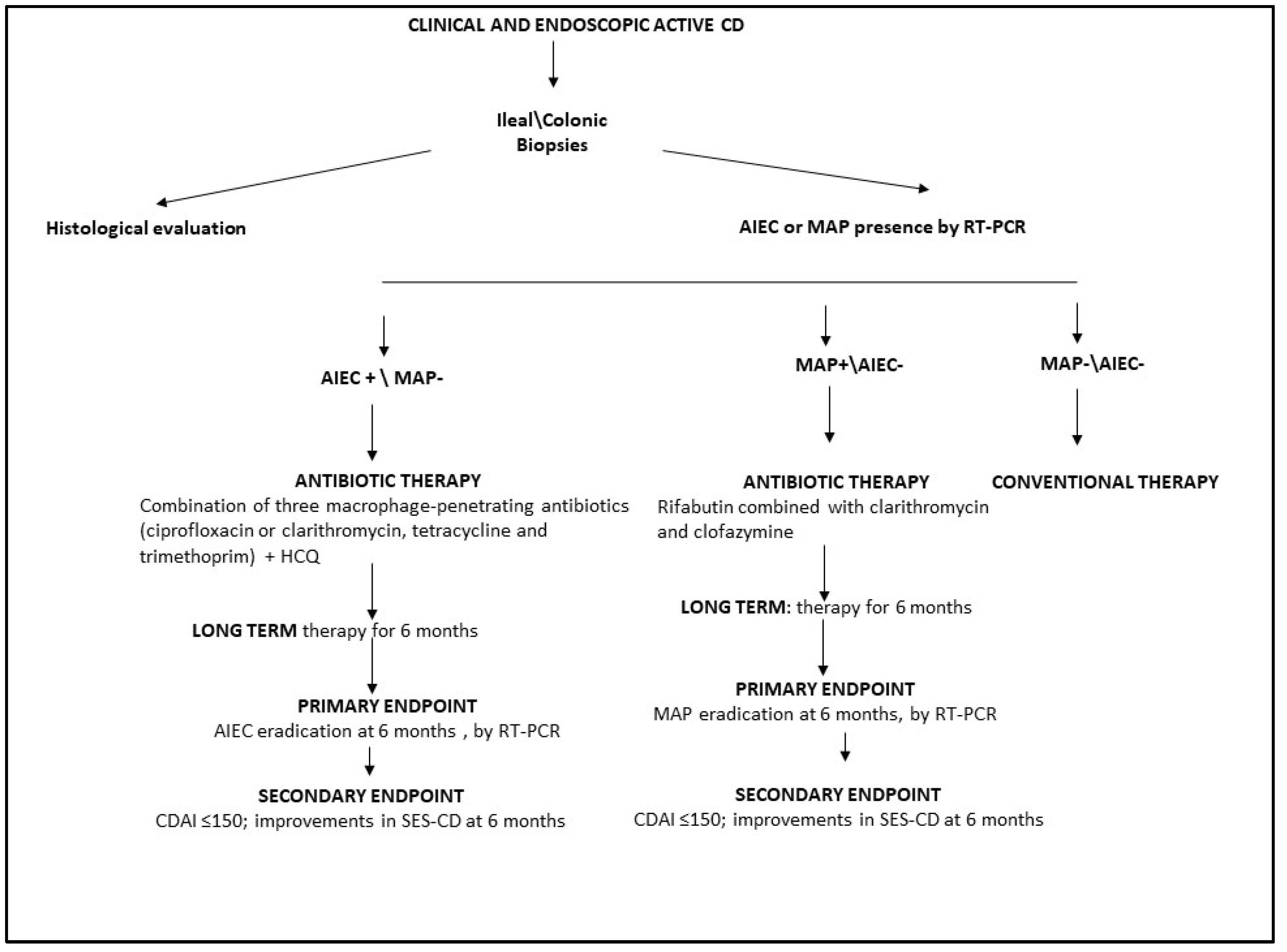 Antibiotics 13 00151 g002