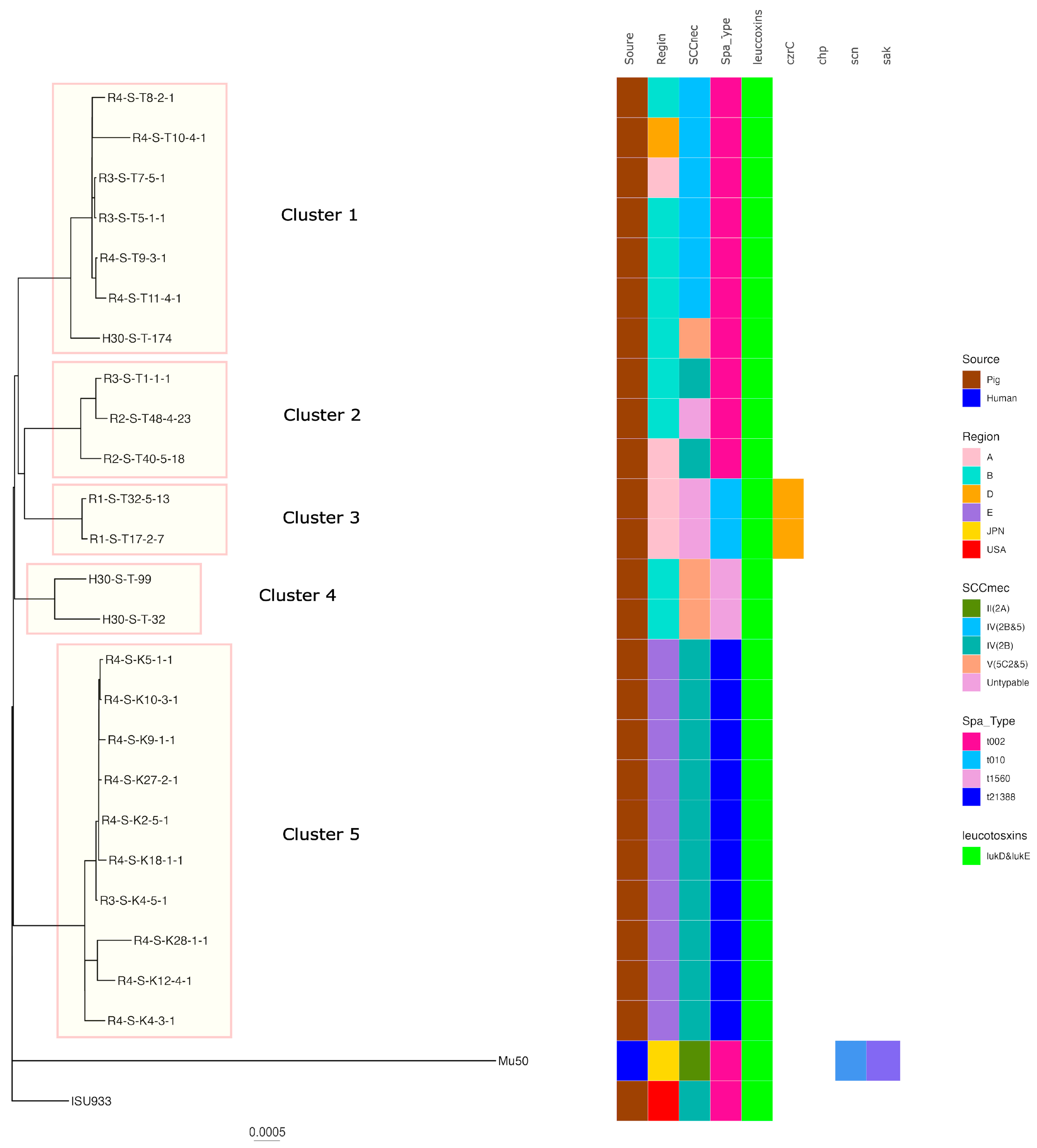 Antibiotics 13 00155 g003