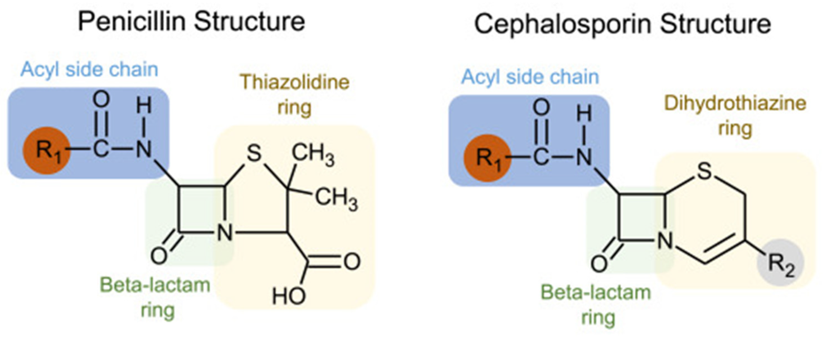 Antibiotics 13 00157 g001