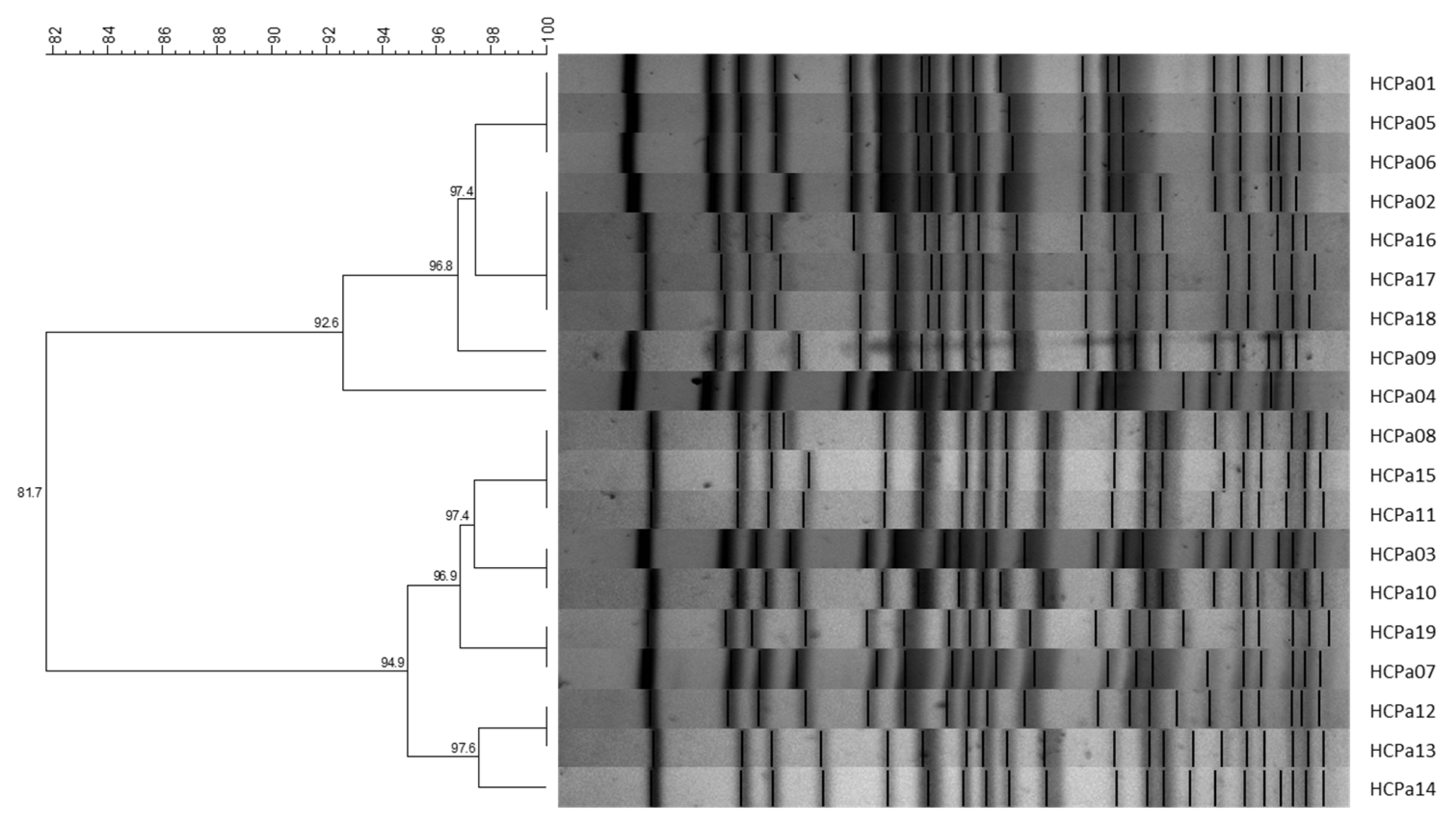 Antibiotics 13 00159 g001