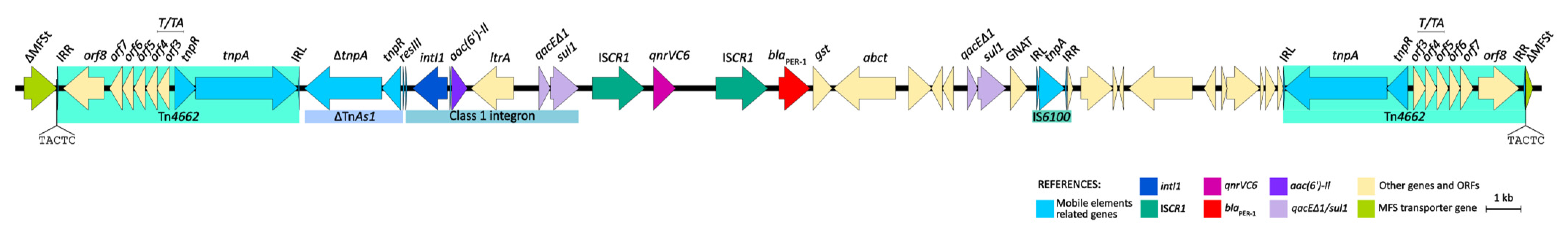 Antibiotics 13 00159 g003