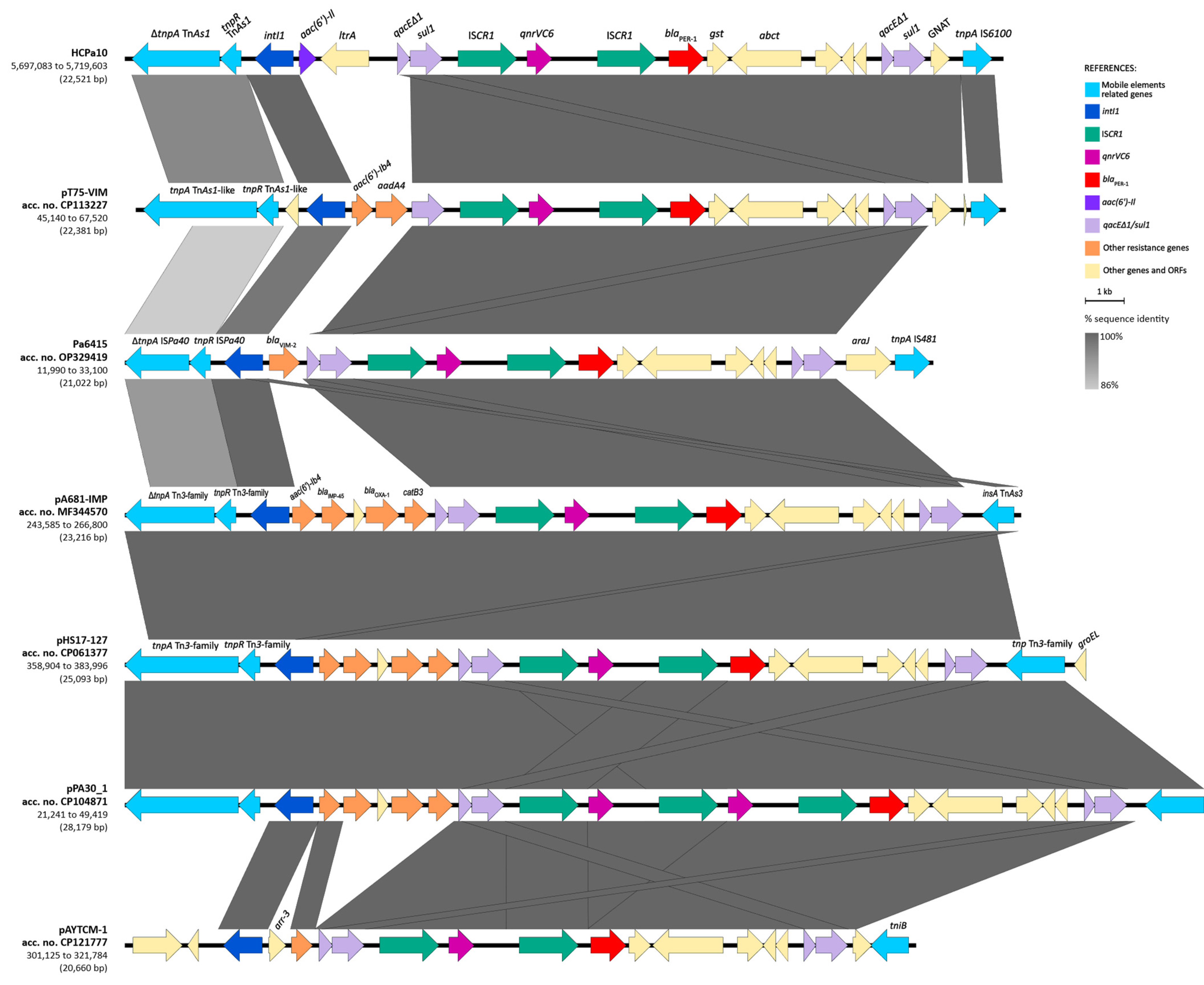 Antibiotics 13 00159 g004